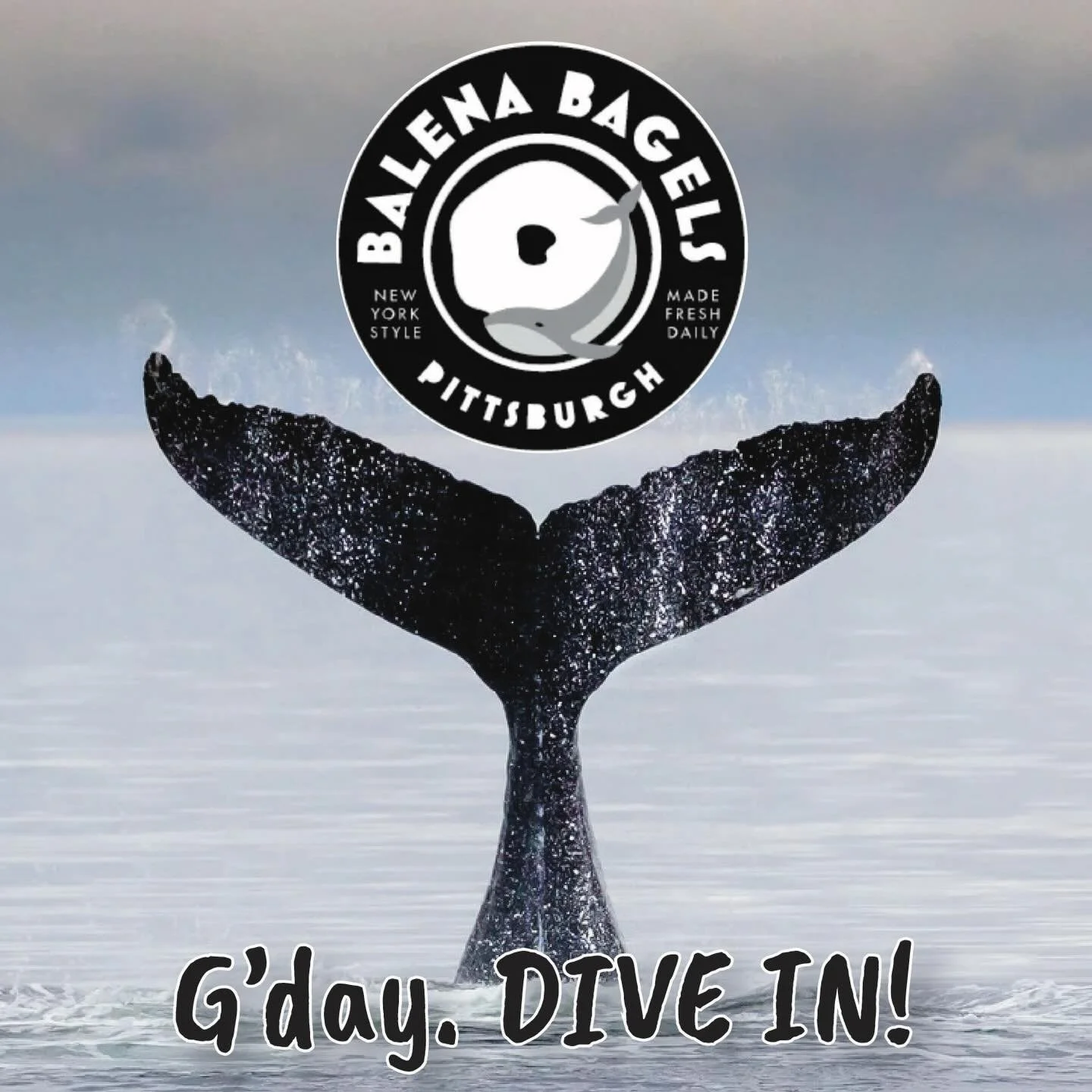 Mic drop.  This just in (and still warm). As of this morning, Castle Shannon&rsquo;s own @balenabagels (Italian for whale and our definition of delicious) are now available at the shop.  A perfect culinary compliment with a specialty coffee - enjoy a