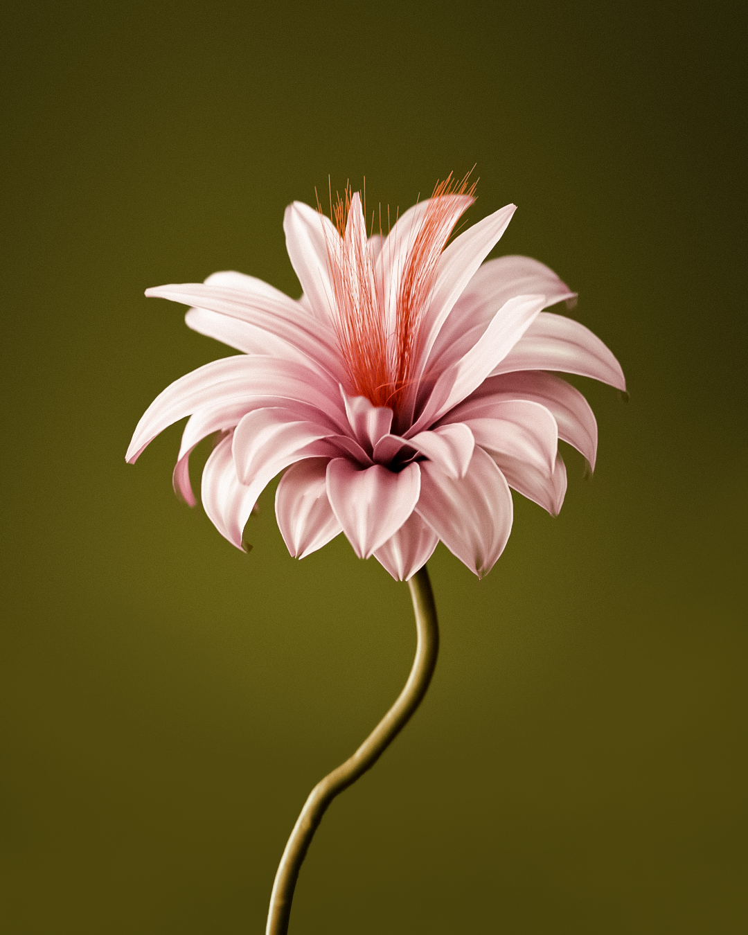 timj_flower_edit.png