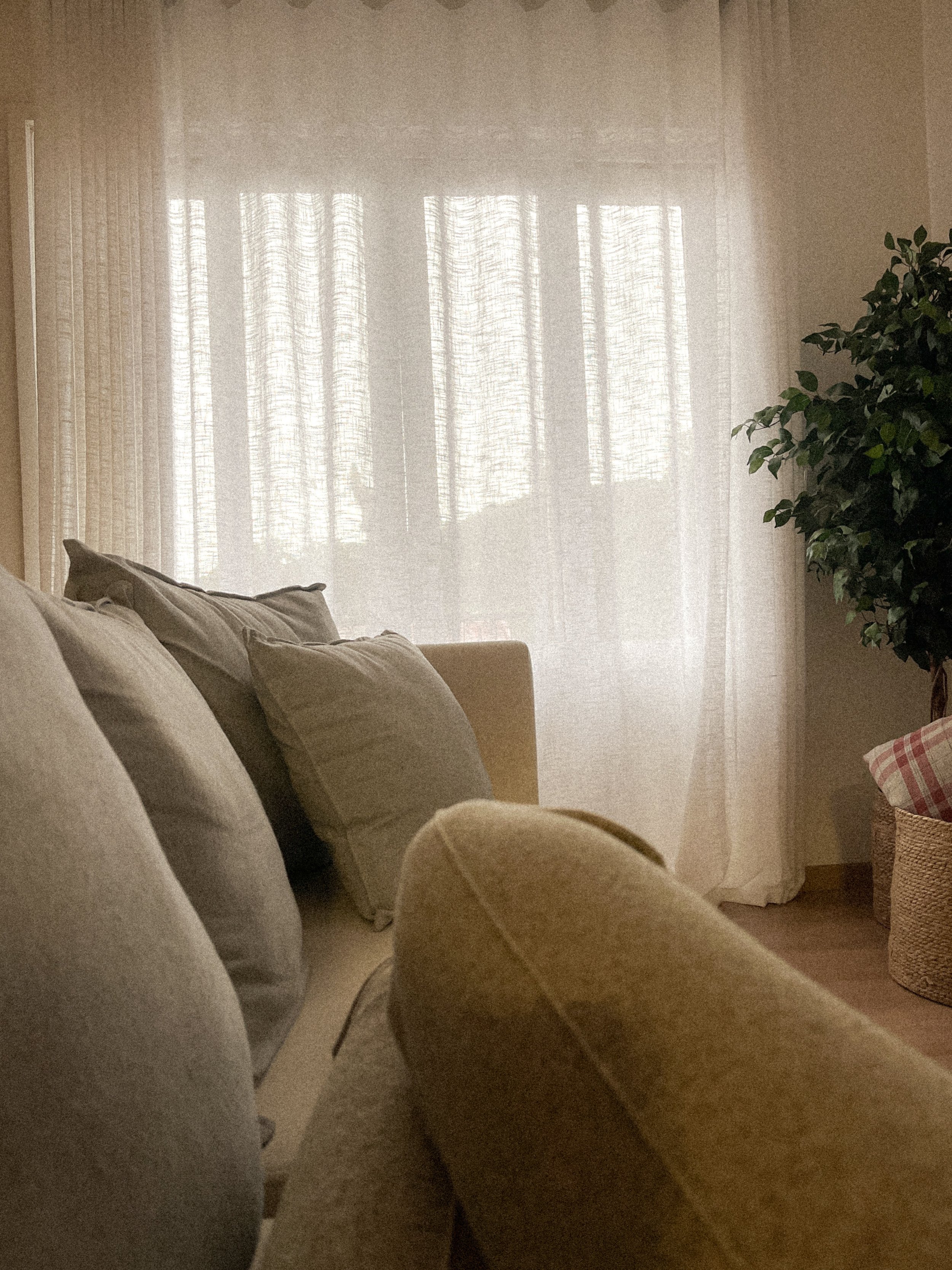 A wicker chair with a white decorative pillow, accompanied by large green indoor plants and sheer curtains in the background.