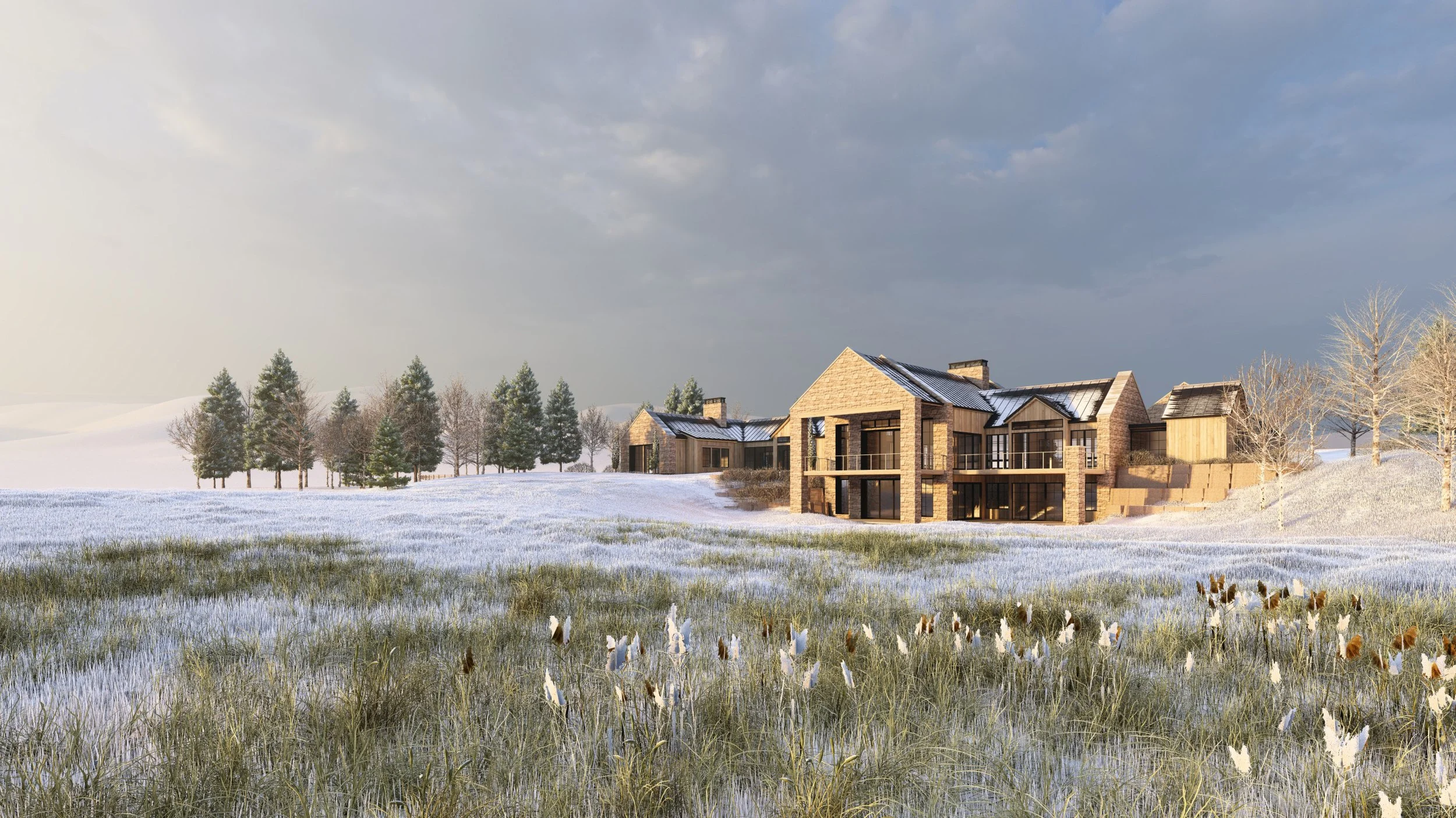 Bitner Res - 5 Snow.jpg