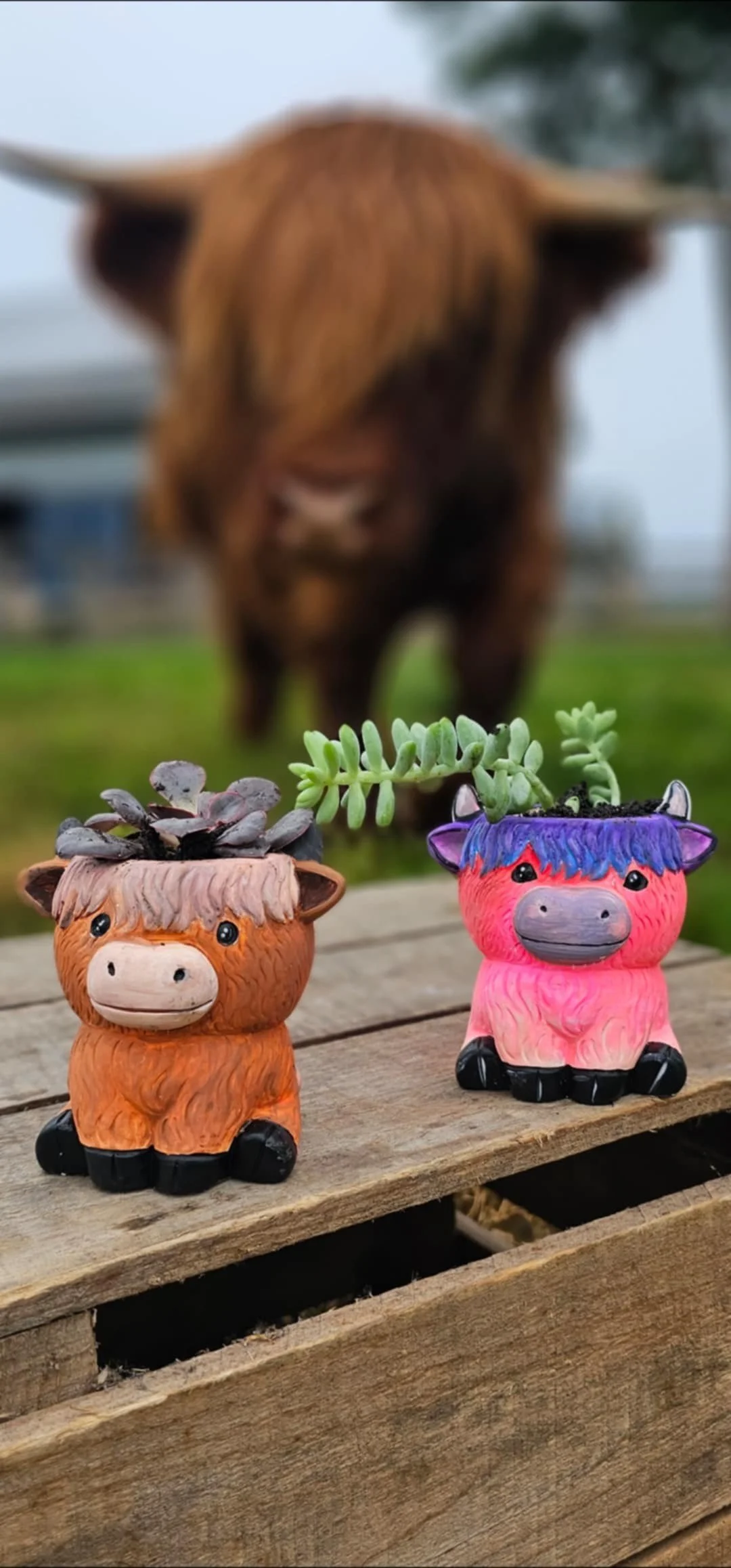 Painting & Planting in the Pasture