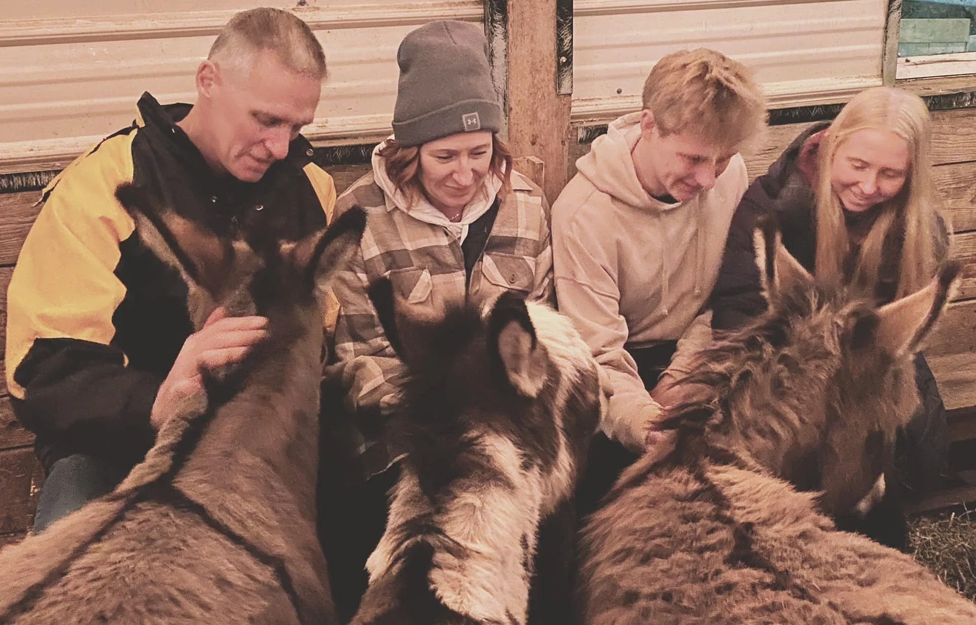 Holiday Cuddle Corners 