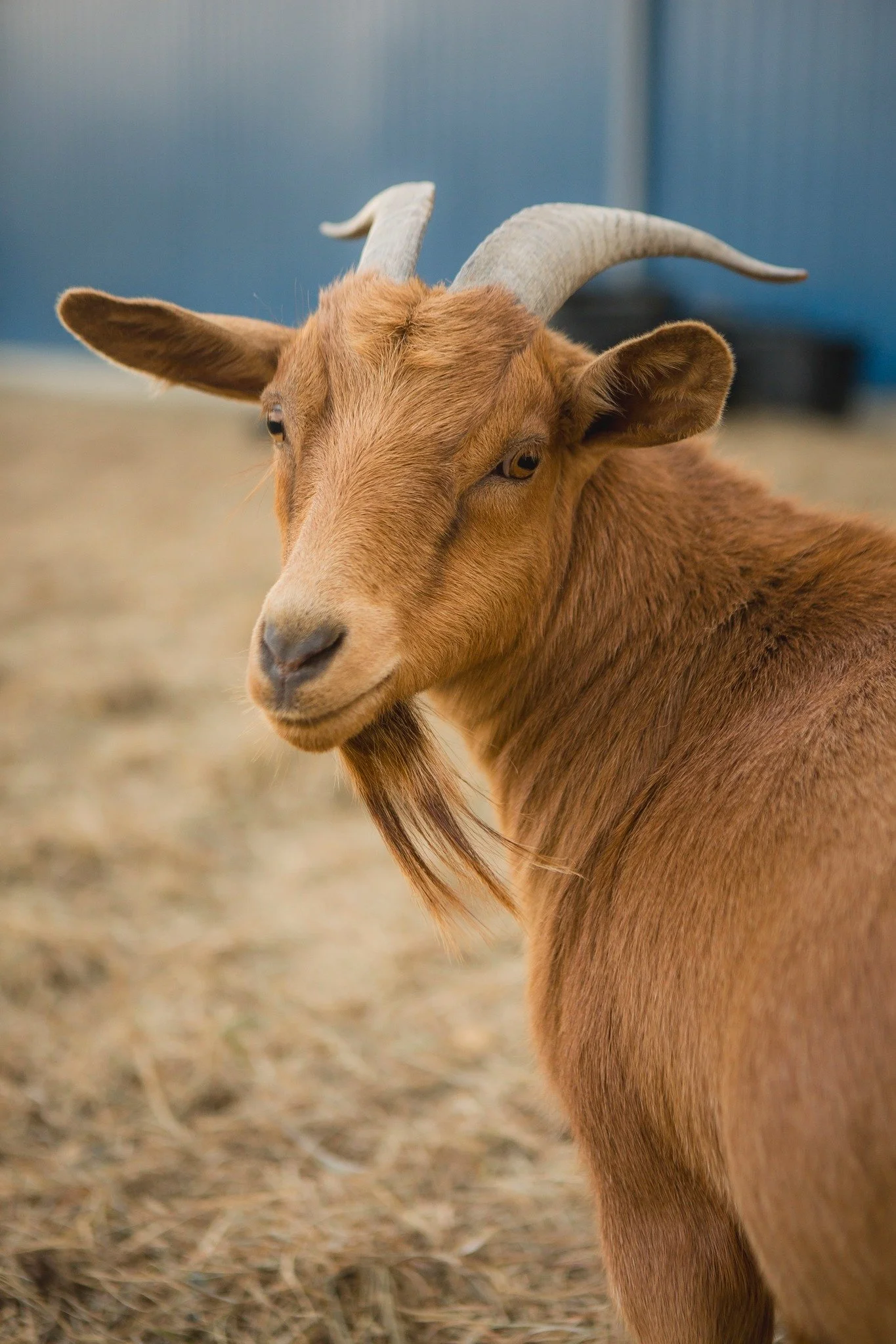 Winter Cuddle Corners
