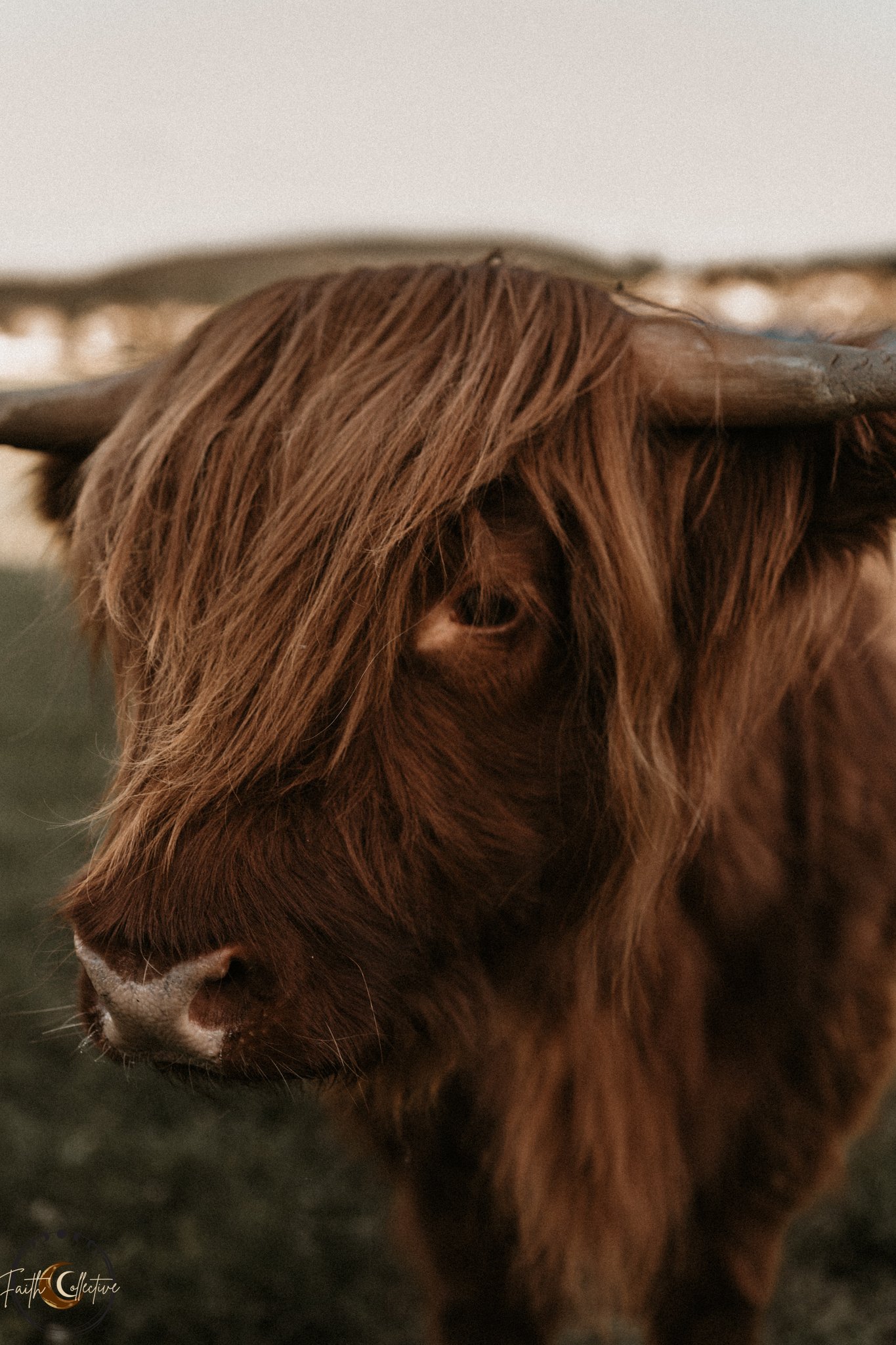 Winter Cuddle Corners 