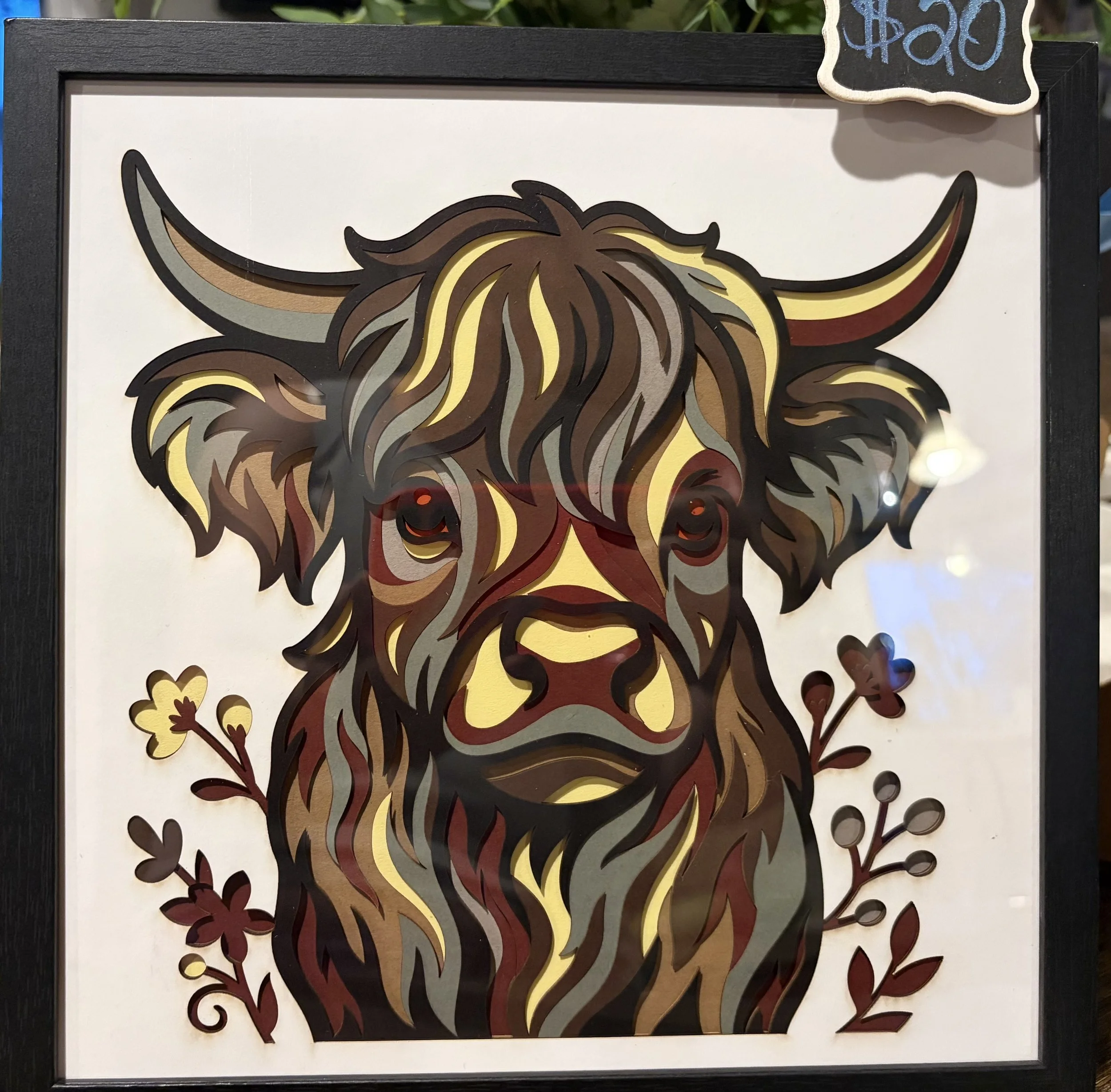 dark brown highland cow.jpeg