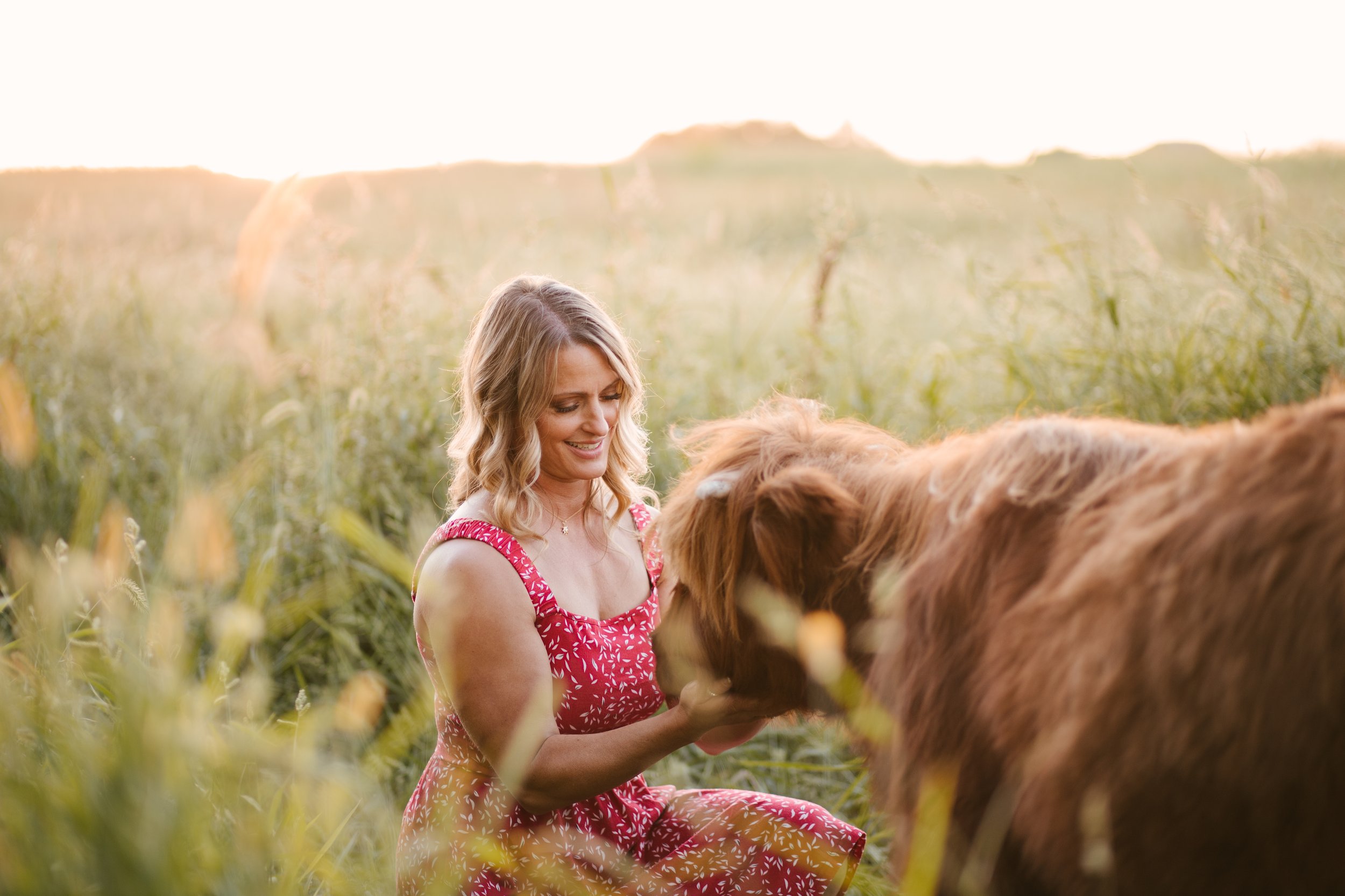 A woman in a red dress with white patterns kneels in a grassy field, gently holding a brown cow, with a soft sunset backdrop.