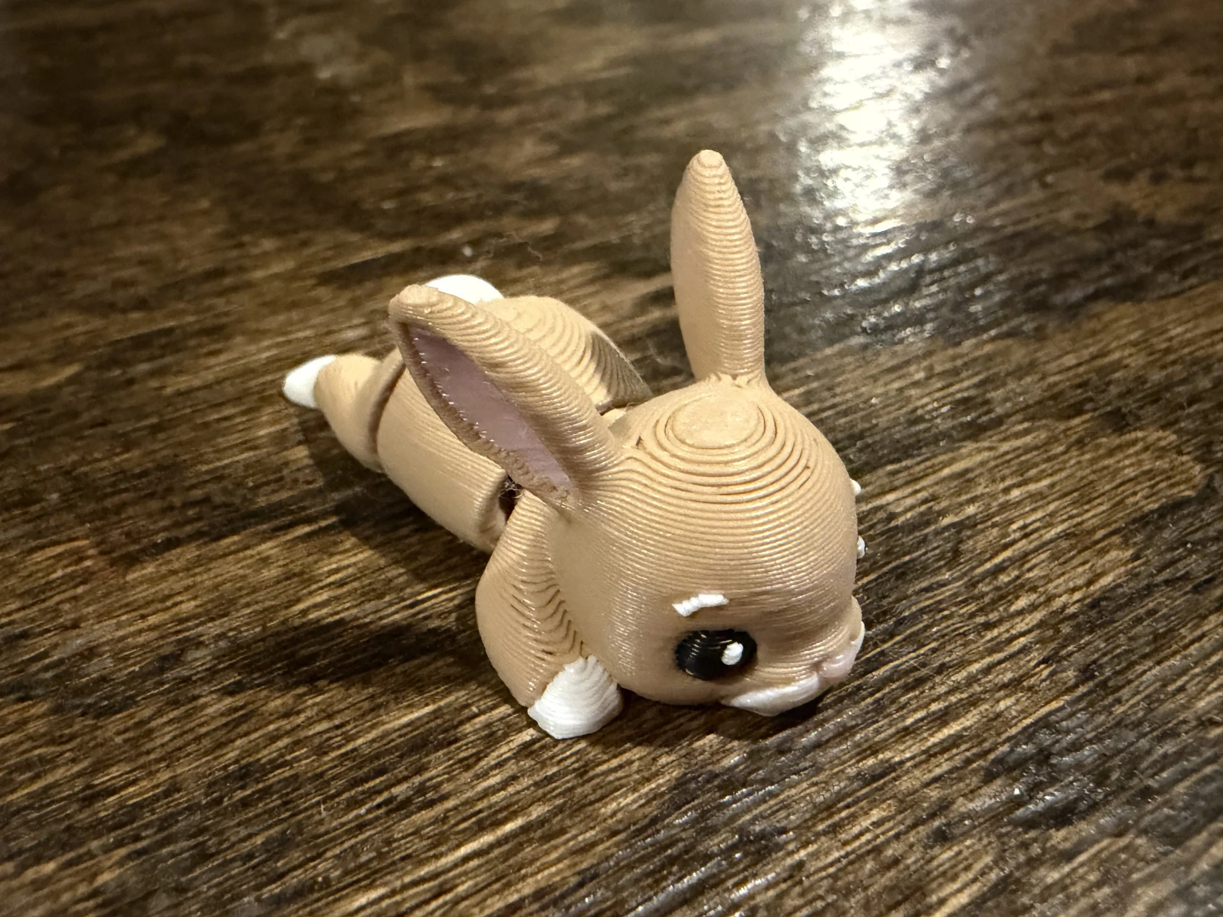 bunny.jpeg