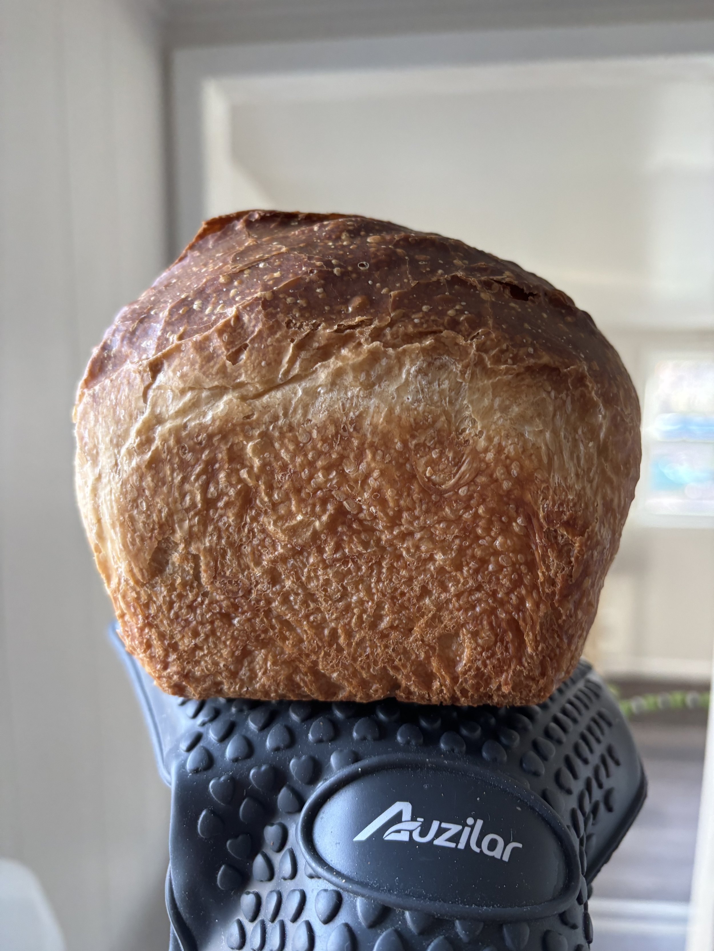 sandwich loaf.jpeg