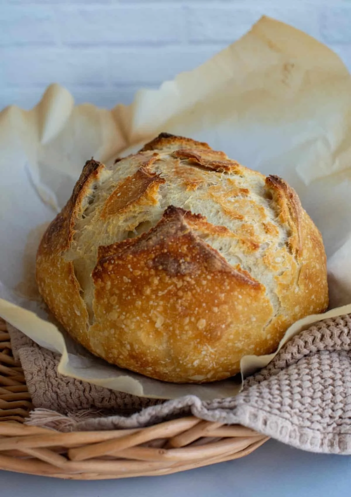Classic Sourdough Loaf