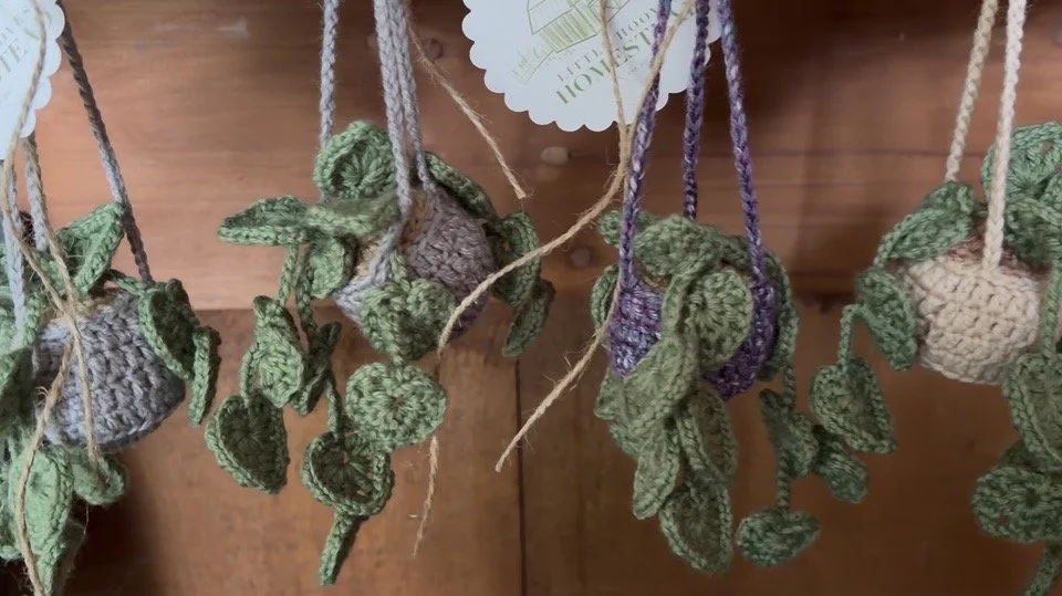 hanging planter 2.jpeg