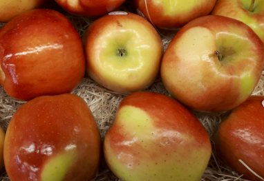 ambrosia apples.png