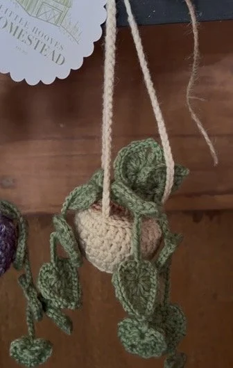 hanging planter 1.jpeg