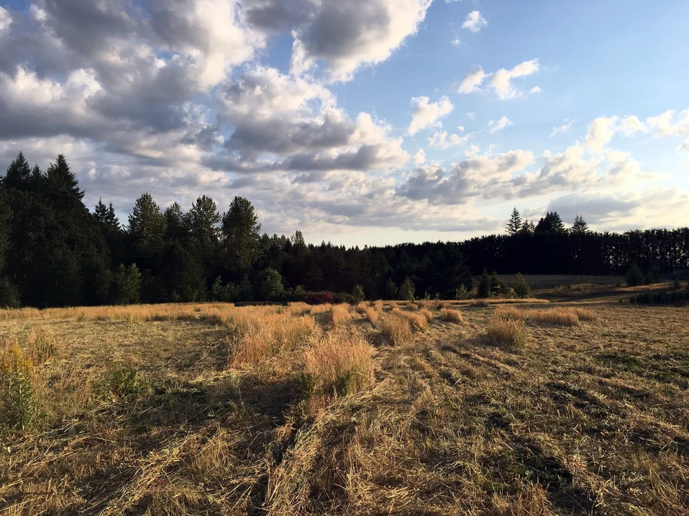 Land Lab — Michael Geffel / LND LAB
