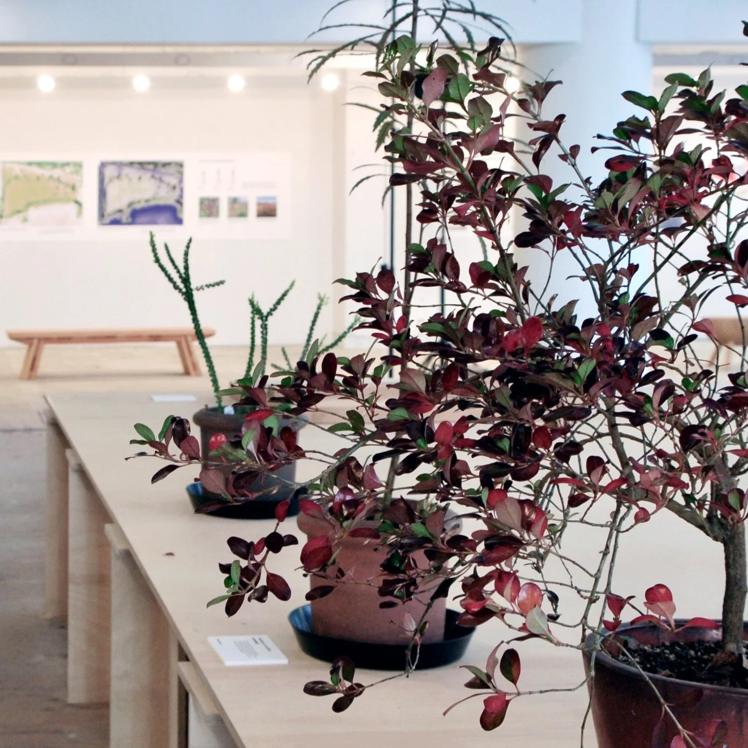 Design Portland Exhibition