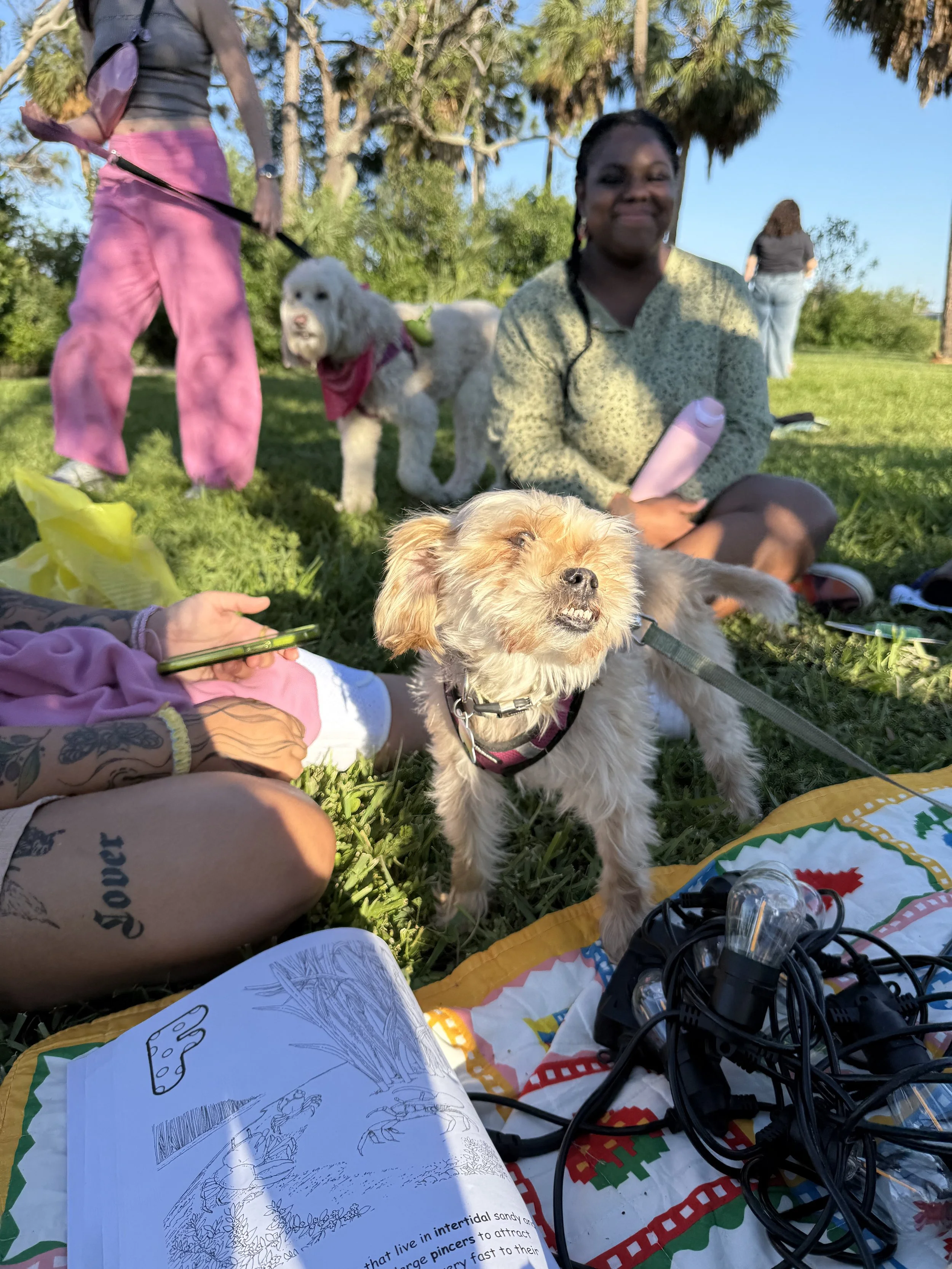 IMG_2981.jpeg