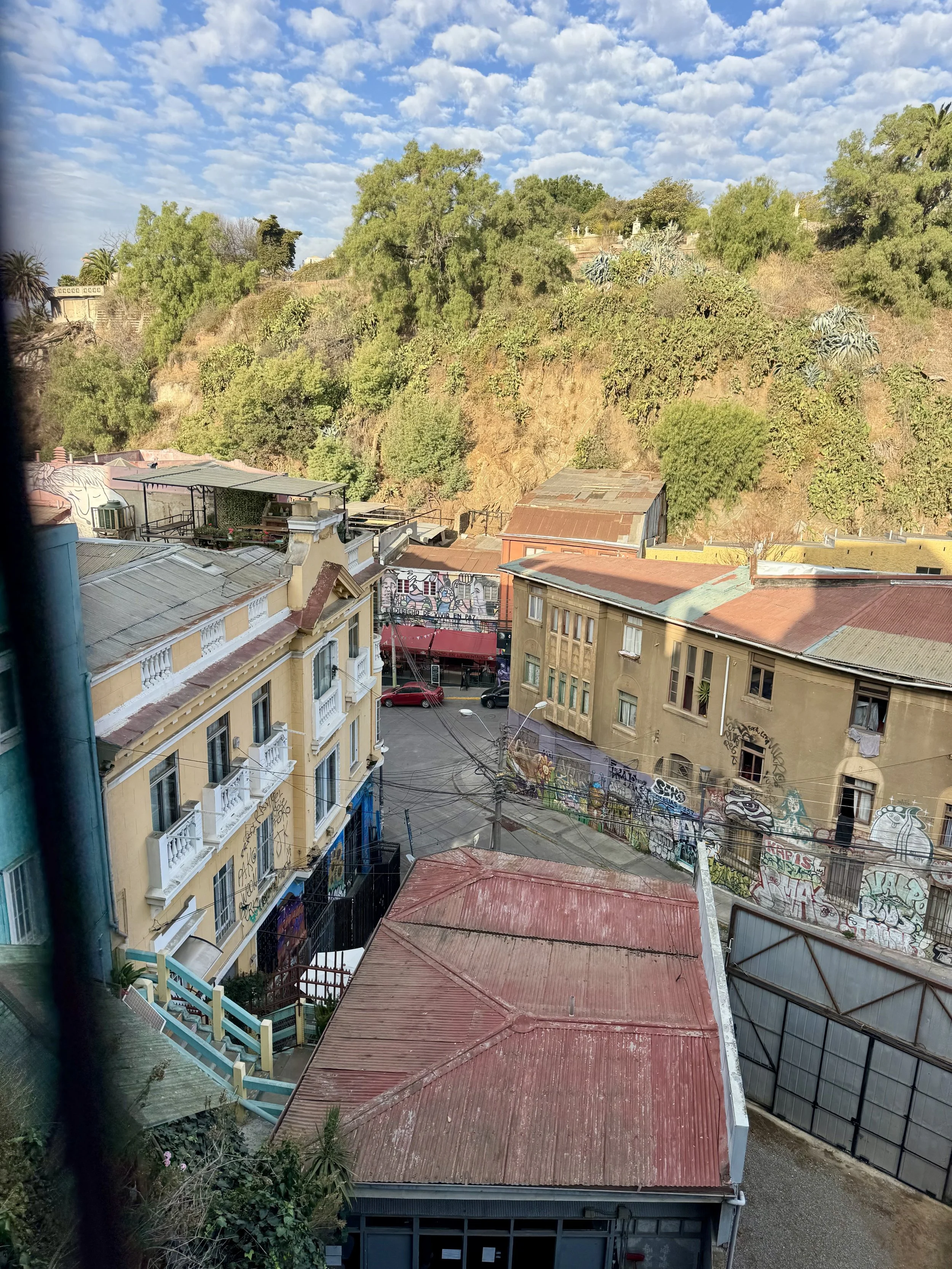 IMG_7504.jpeg