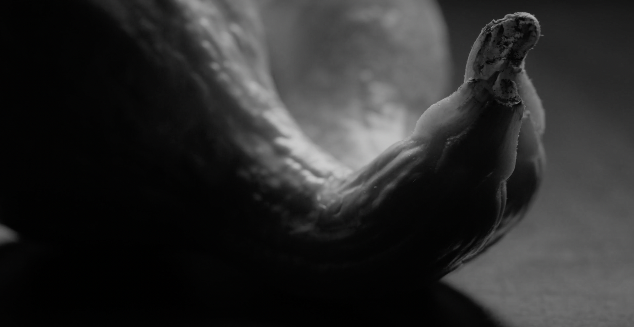 Screenshot 2024-07-15 at 2.35.23 PM.png