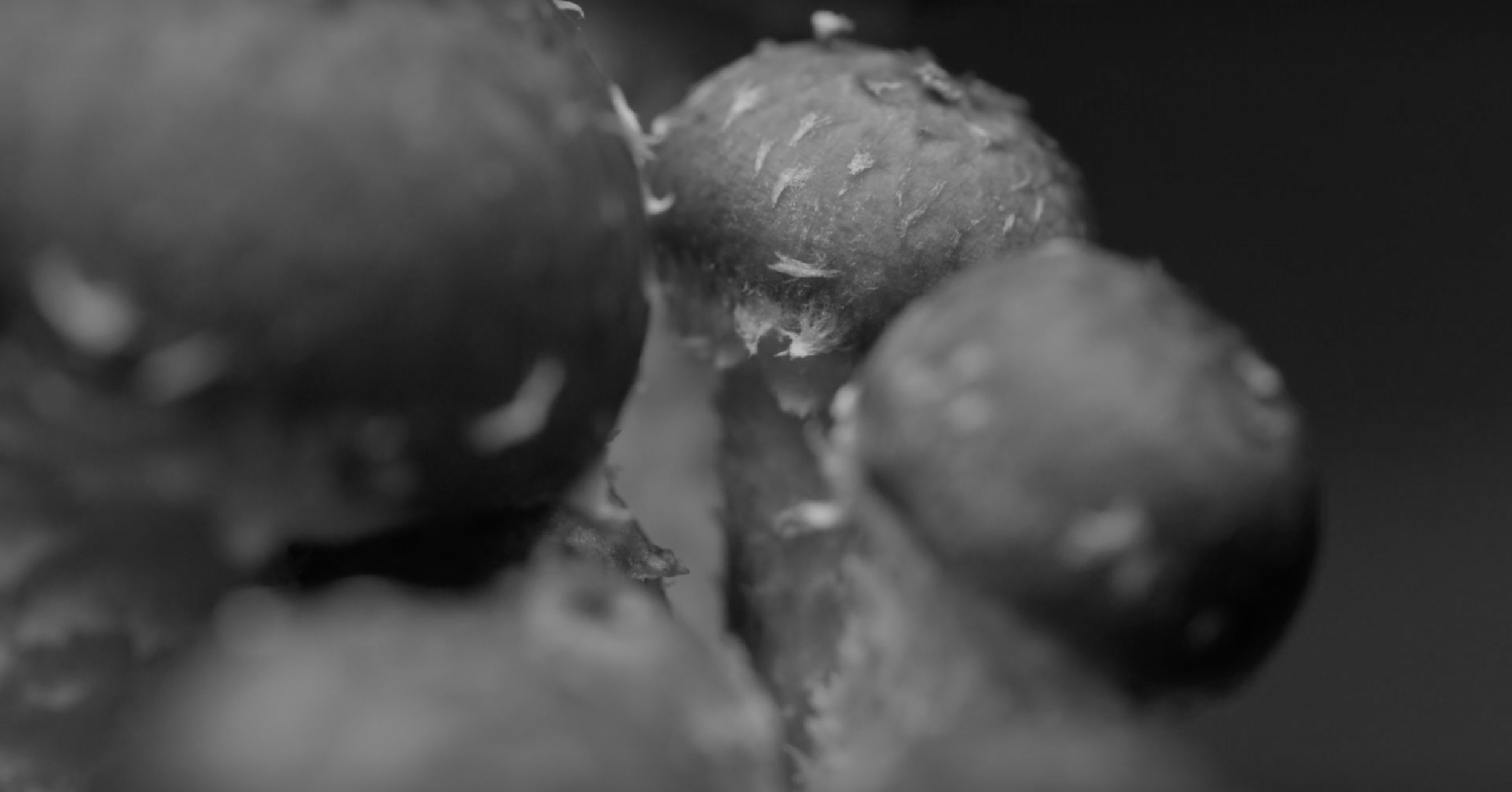 Screenshot 2024-07-15 at 2.35.08 PM.png