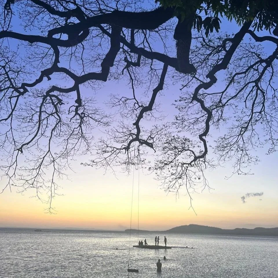 Playa+Mango7.jpg