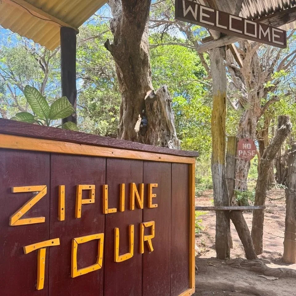 Zipline1.jpg