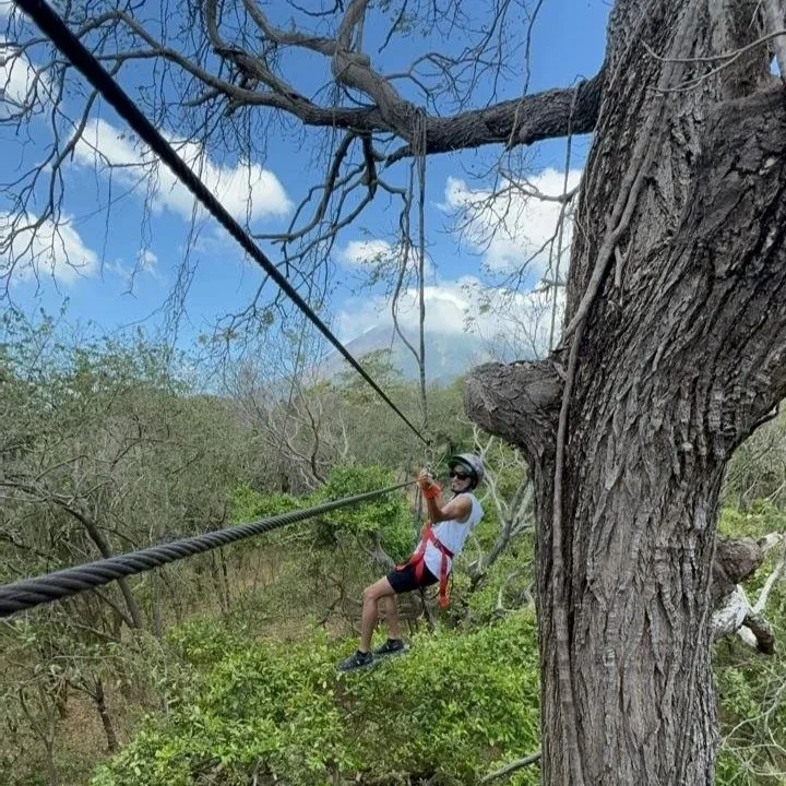 Zipline7.jpg