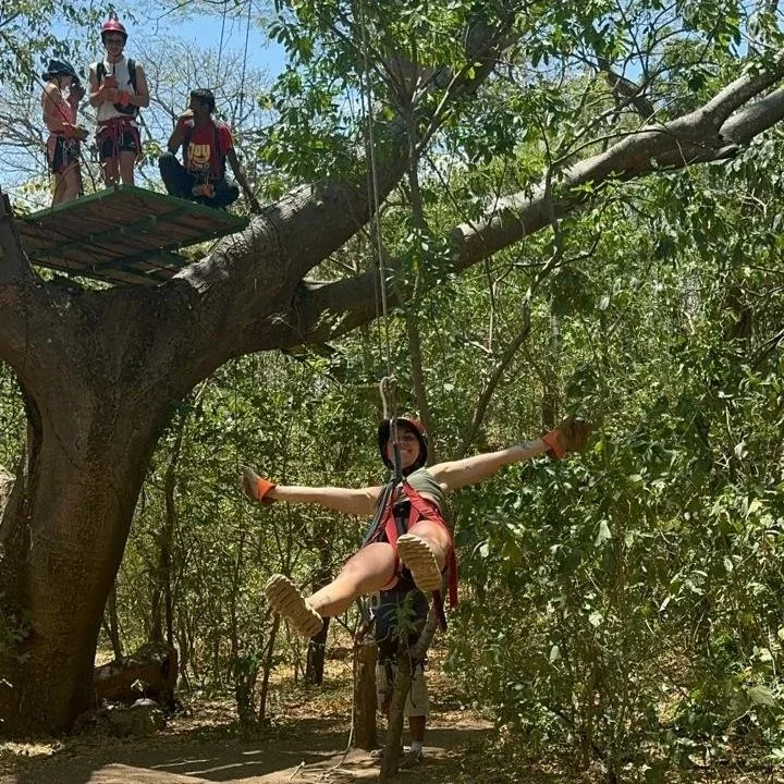 Zipline3.jpg