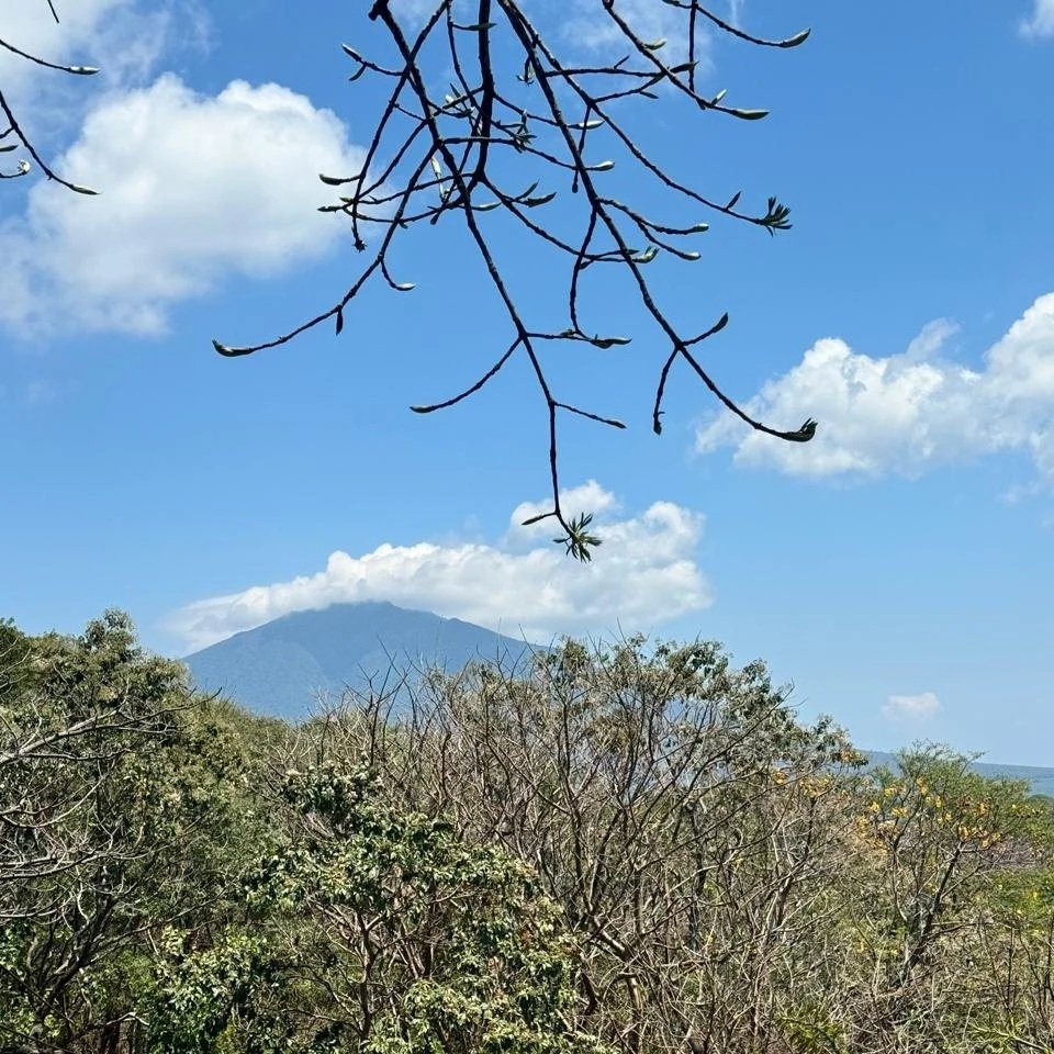 Zipline4.jpg