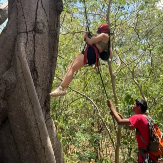 Zipline12.png