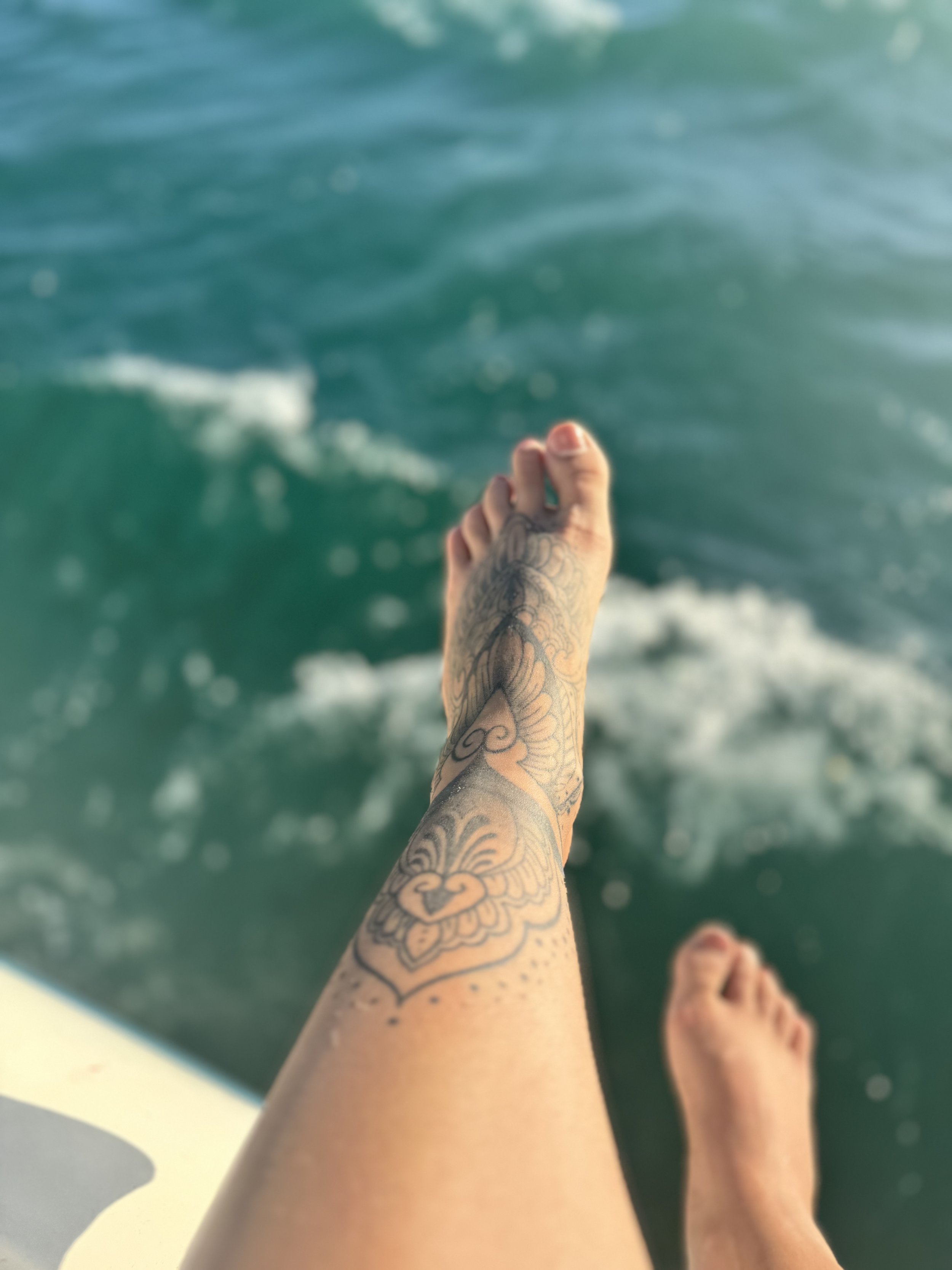 IMG_7941.jpeg