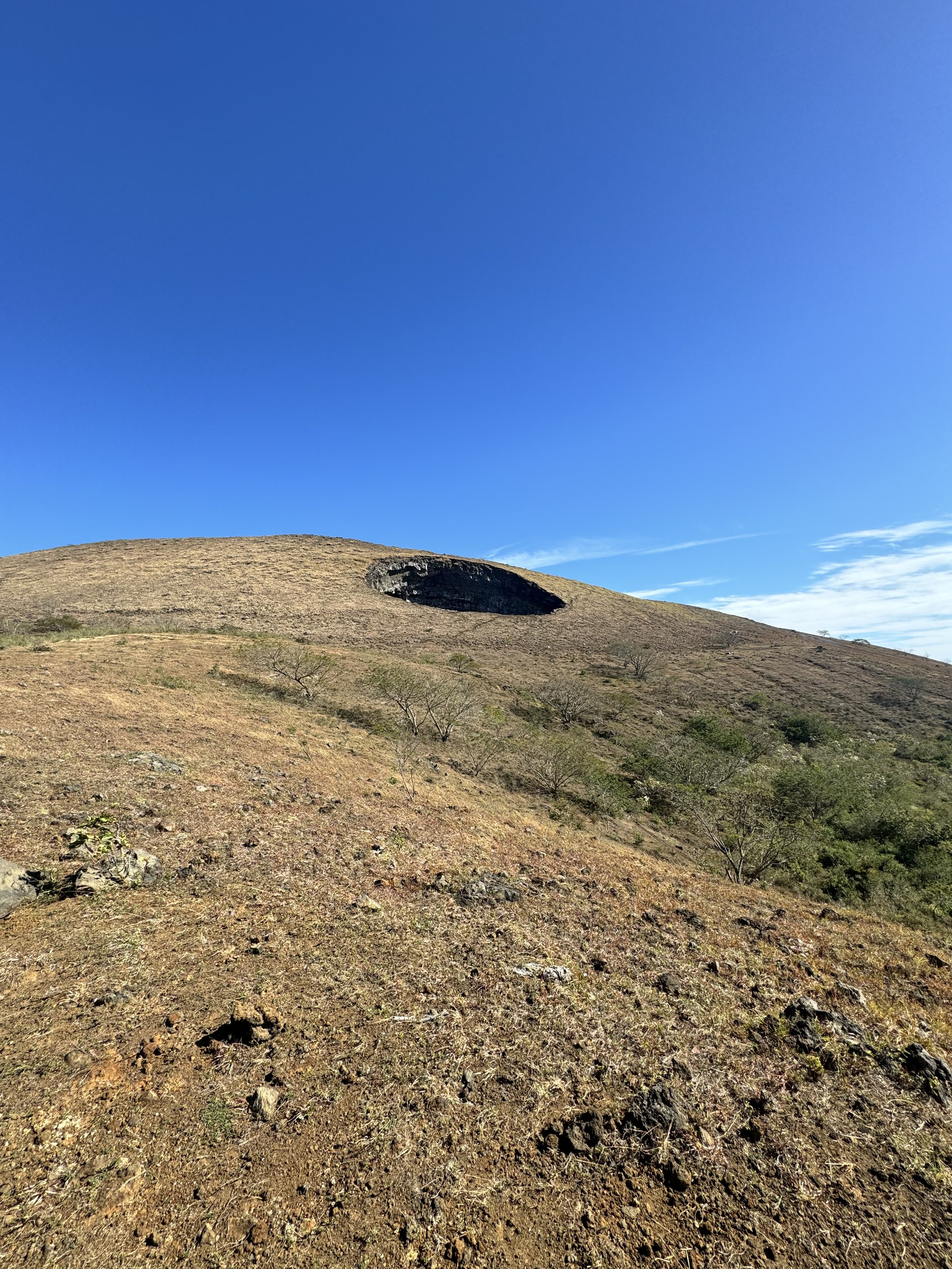 IMG_6784.jpeg