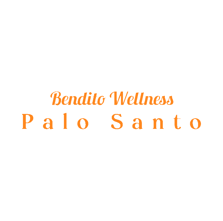 Bendito+Wellness+Logo+Trans+Naranja.png