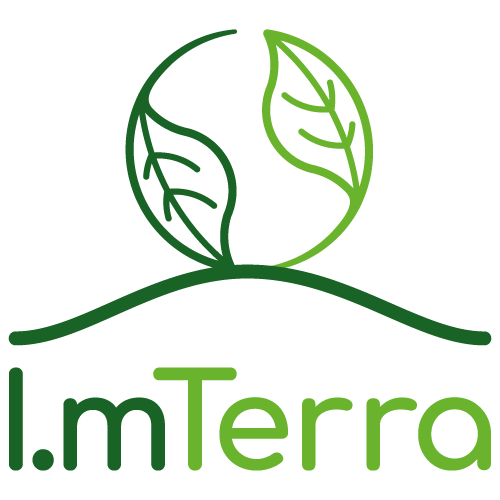 ImTerra+Logo+Trans.png