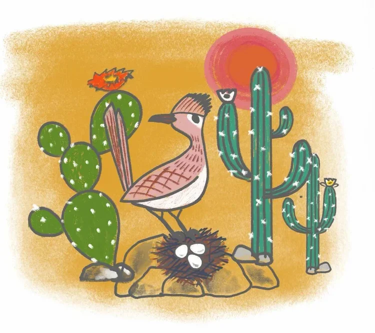 Alisa-Bloom-book-illustration-desert+.jpg.webp