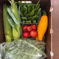 CSA BOX.jpg