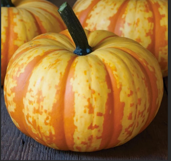 Screenshot 2025-10-10 214017.png