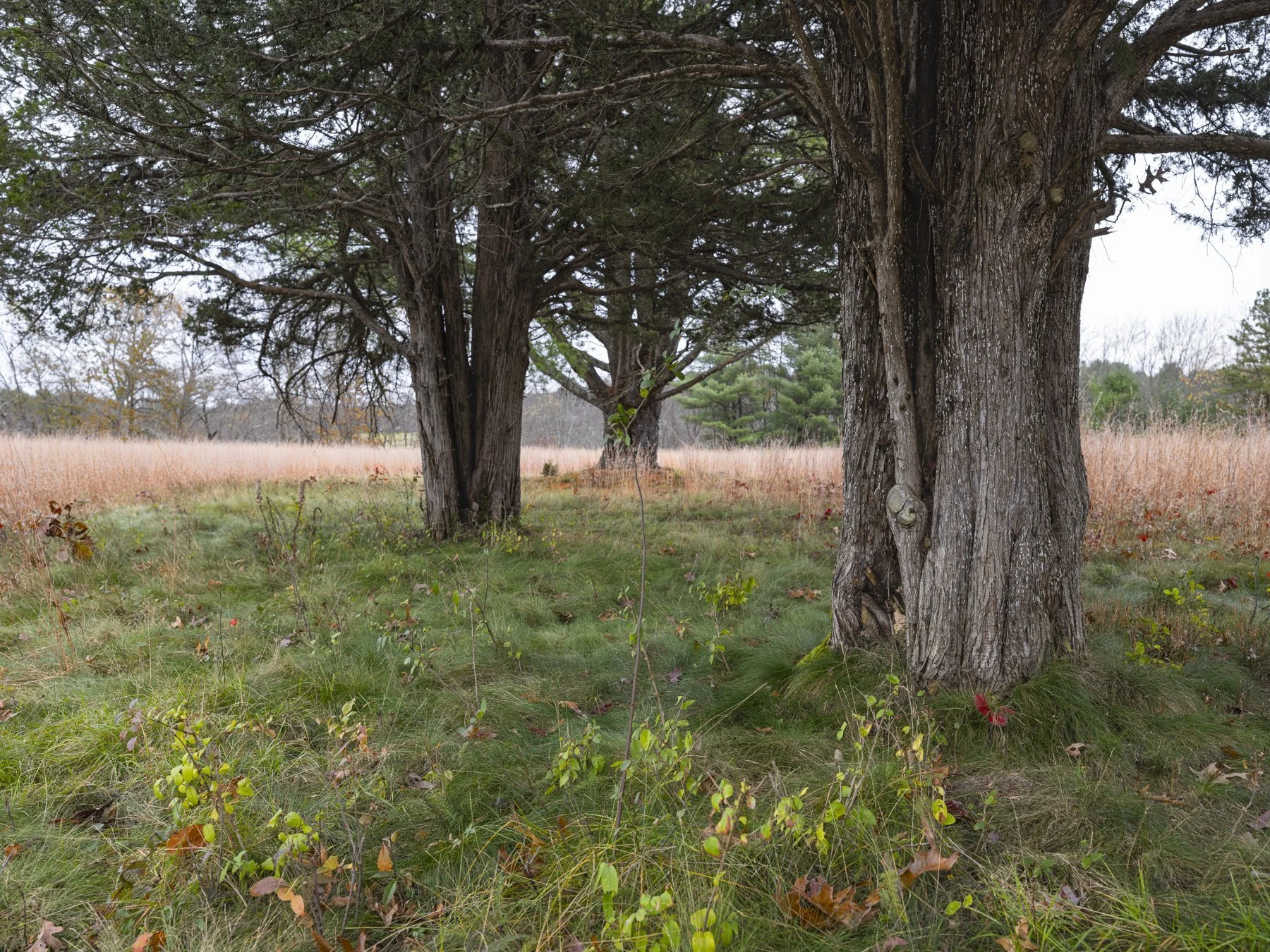 Concord Art Association