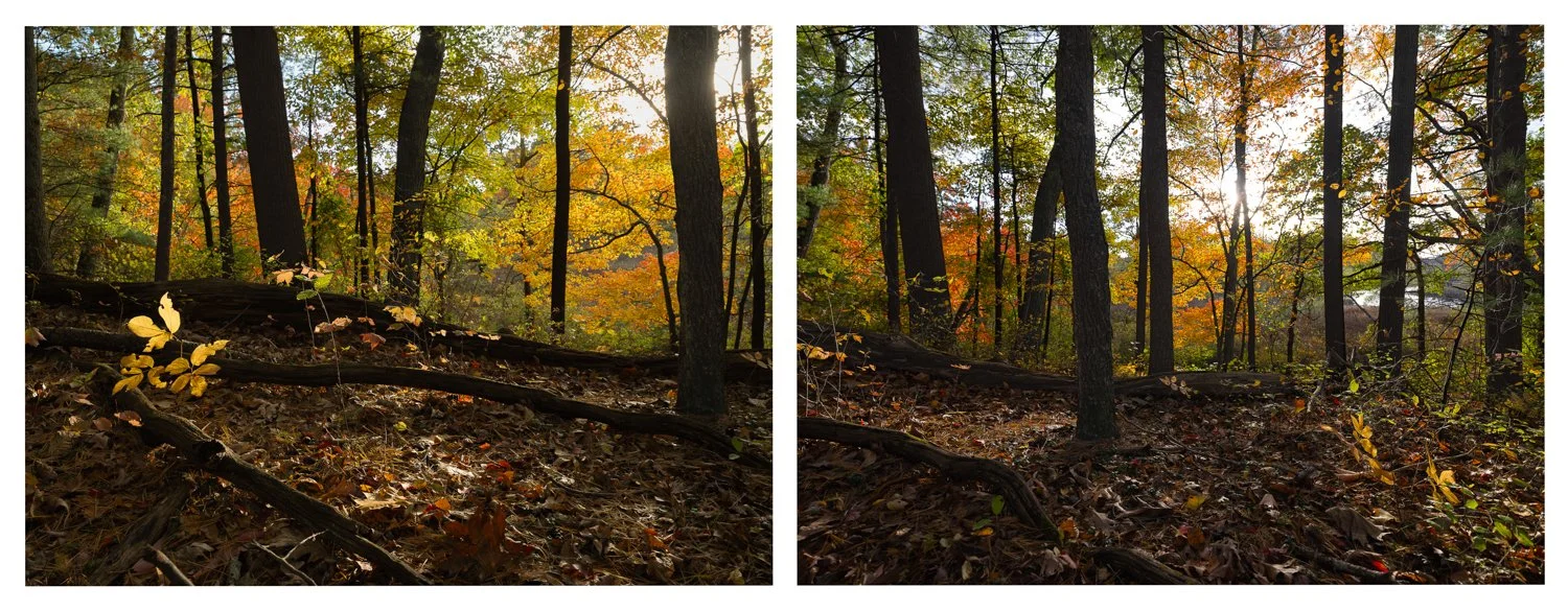 Sudbury River Overlook