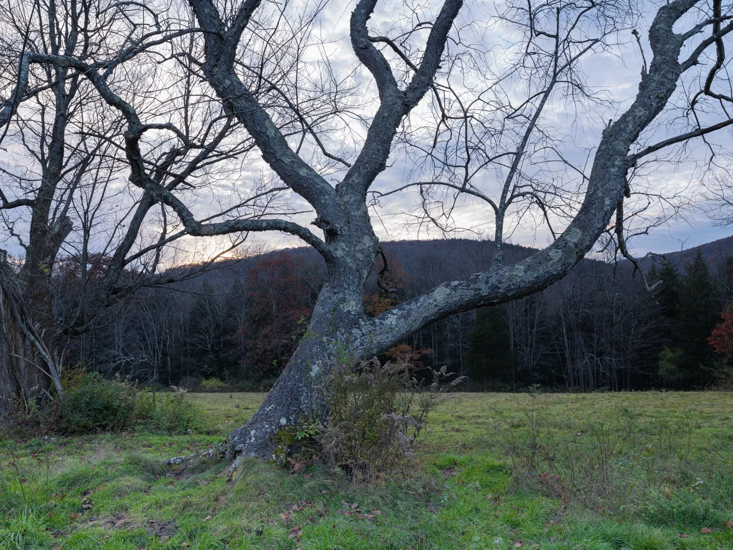 On the Clark Museum Trail