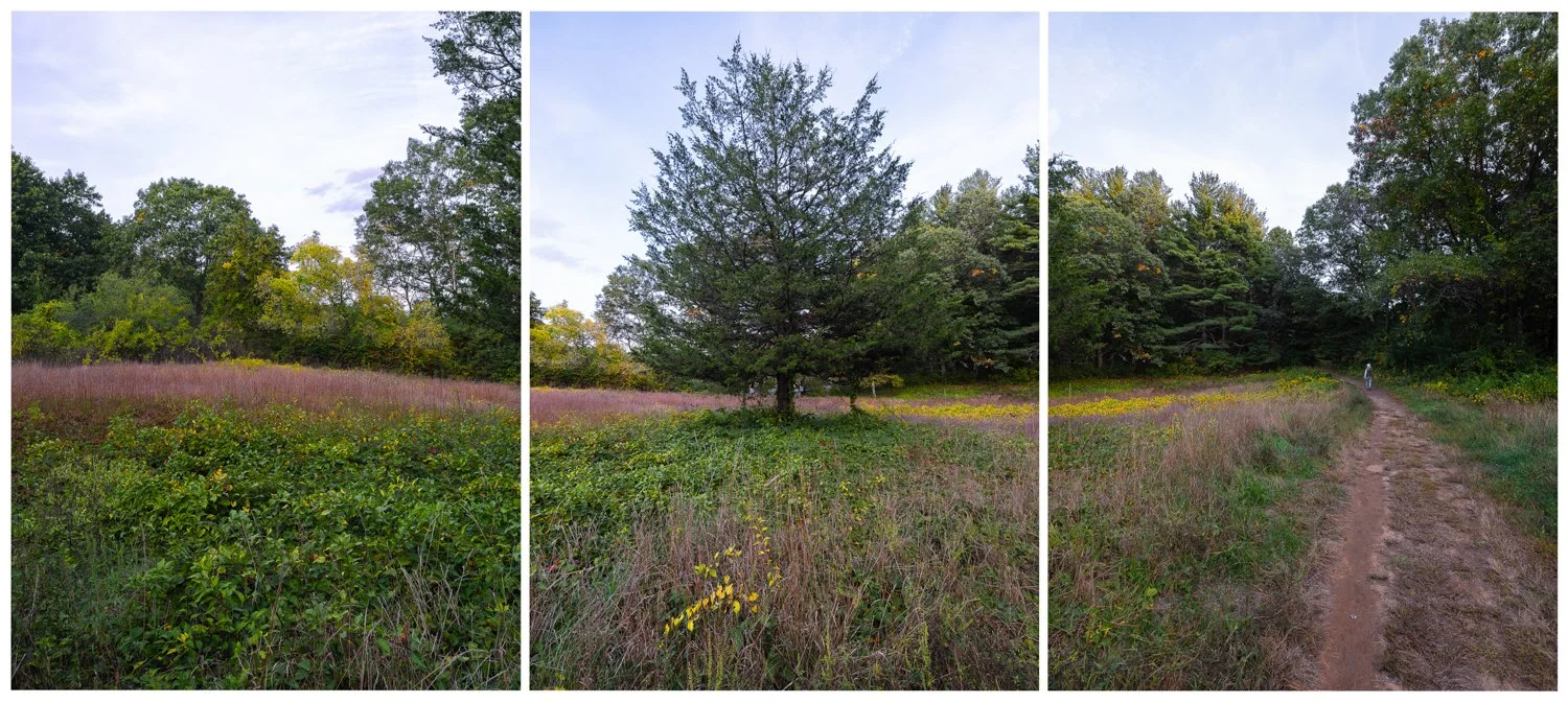 Trail at Balls Hill Road