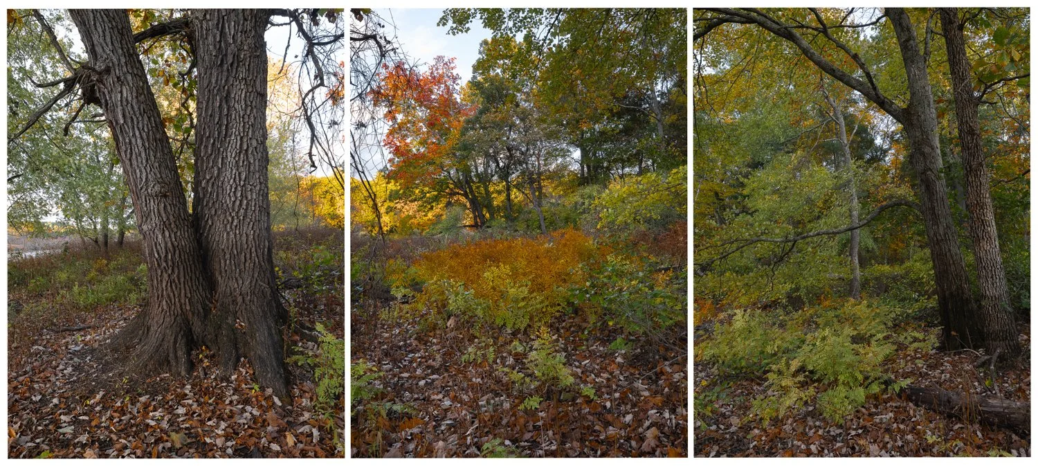 Autumn Near Fairhaven Bay