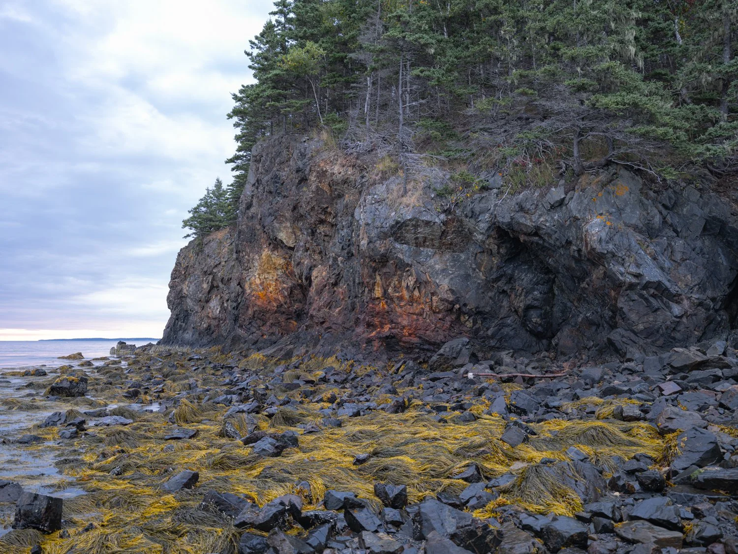 Owlshead Rocky Shore