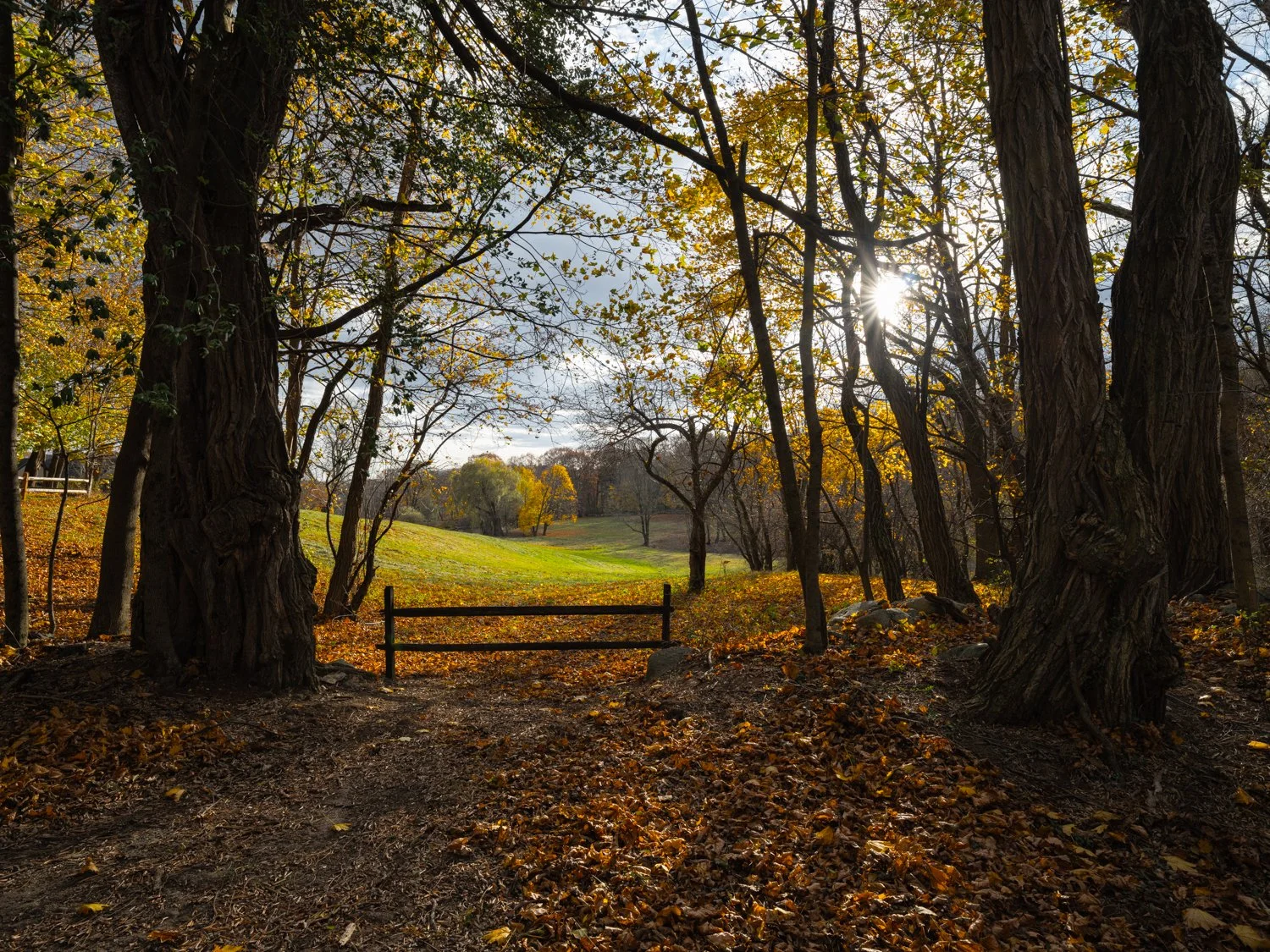 View From The Lincoln Way