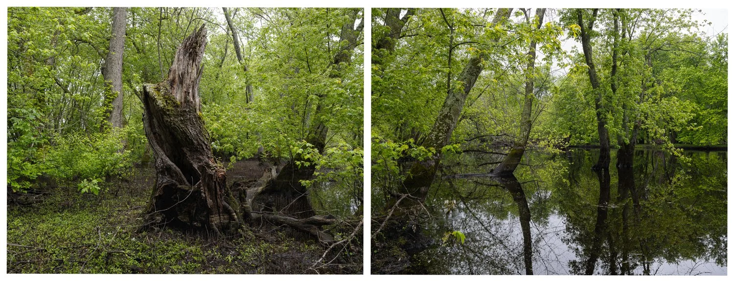 Wild and Scenic River Bank
