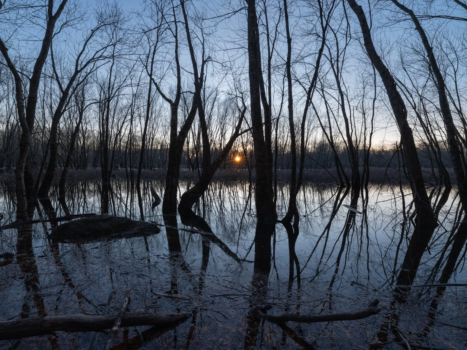 Late Winter on the River