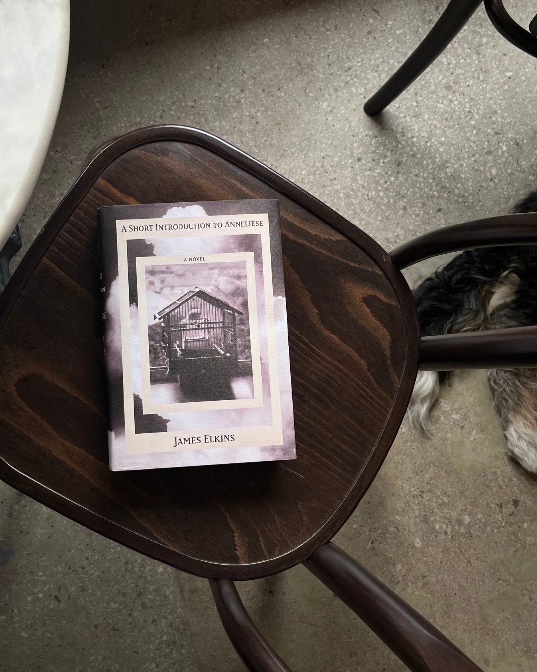 Happy publication days to @jamesprestonelkins' A SHORT INTRODUCTION TO ANNELIESE! 🌥

&quot;Readers who appreciate formal invention and wry humor will find much to savor here.&quot; -KIRKUS REVIEW

This is the second volume in the multi-volume mega-n