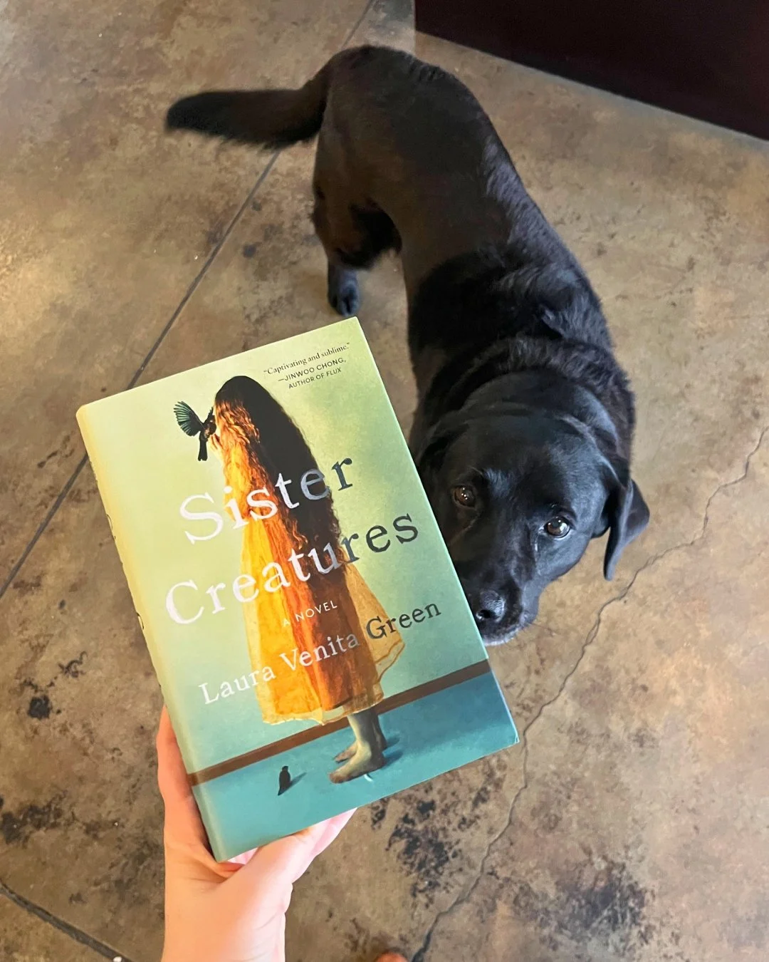 Happy publication day to @lauragreen517's eerie wonderful novel SISTER CREATURES! 🐍

Our office manager, Willow, highly recommends it. 

An Indies Intro and Indie Next pick, Green&rsquo;s novel is about manufacturing resilience from nothing but the 