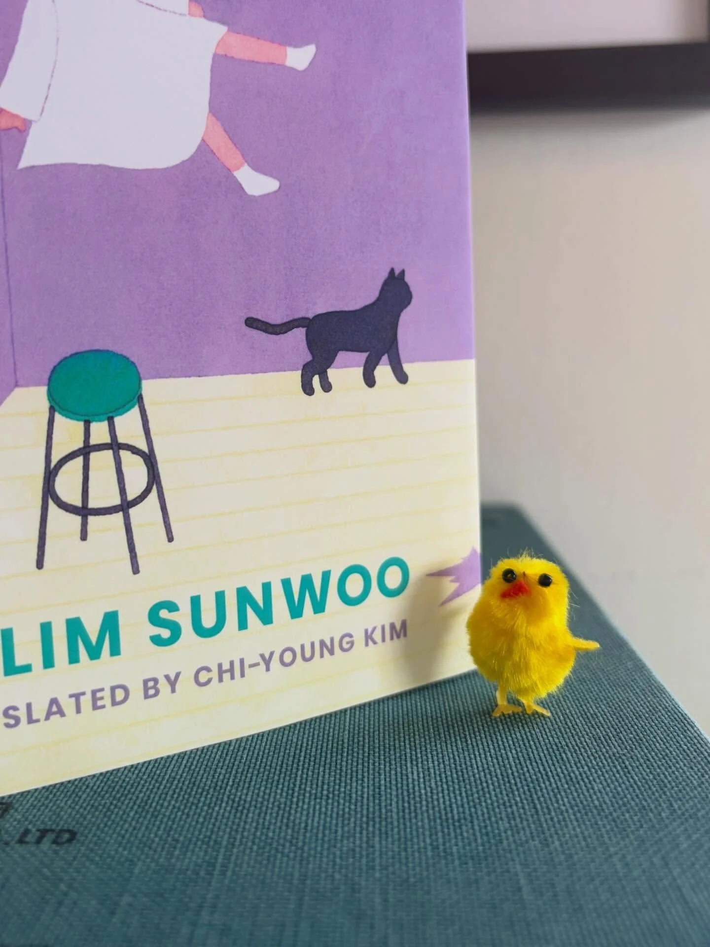 Chicks dig translated lit. 

With the Heart of a Ghost featuring gorgeous cover art by @harunamakisumi and brilliant translation by Chi-Young Kim is on shelves now. 🪼 #booksbooksbooks

#valentinesday