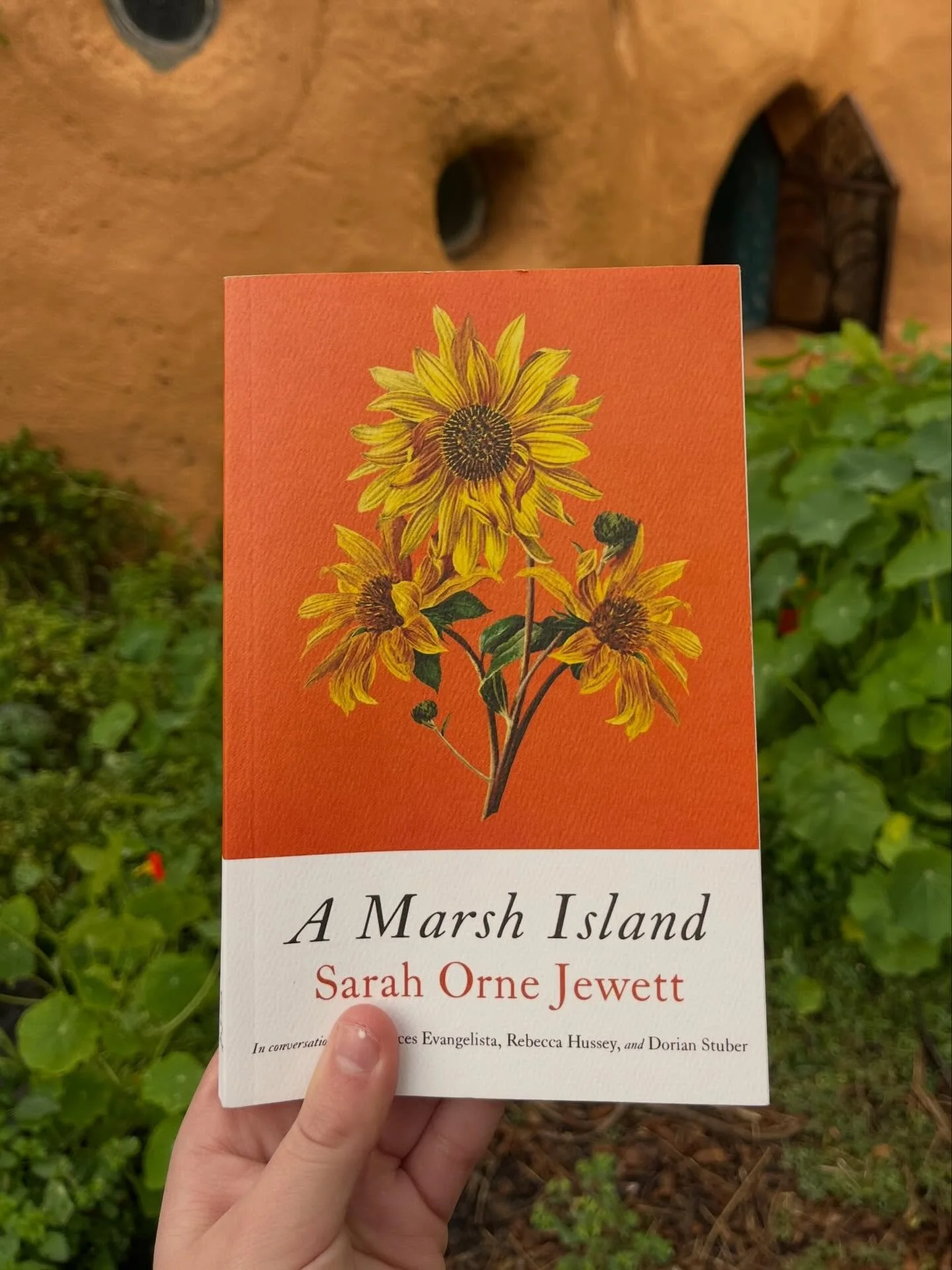 Give your copy of&nbsp; Sarah Orne Jewett&rsquo;s POINTED FIRS a companion!&nbsp;

A MARSH ISLAND, the newest of our Smith &amp; Taylor Classics is on shelves now! !🌻🌾

Considered &ldquo;the first American gay novel&rdquo; by lecturer Dr. Don James