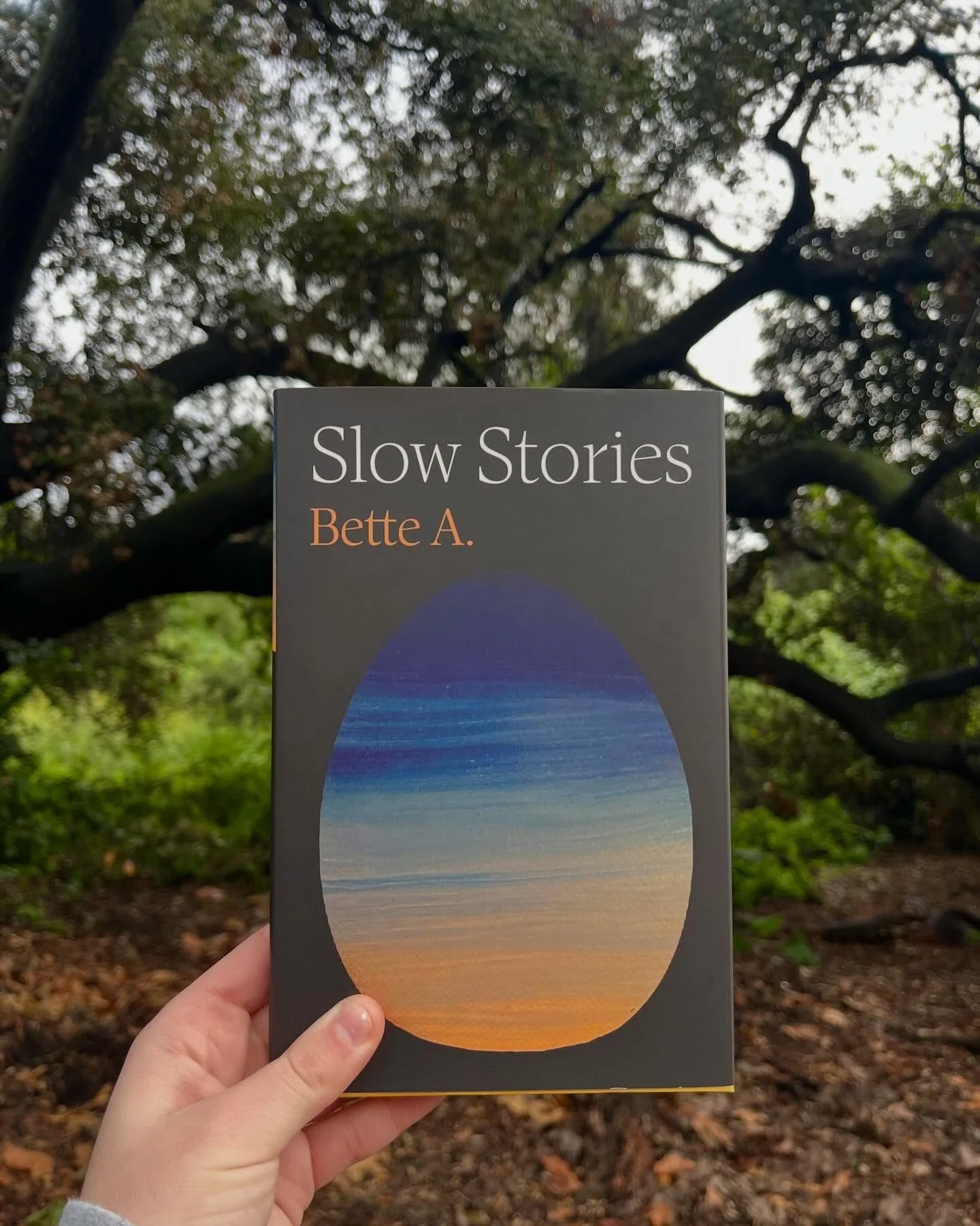 Happy Publication Day to Bette A.&rsquo;s new story collection, SLOW STORIES!

In SLOW STORIES , the multi-talented Dutch author and visual artist Bette A. envelops readers in sixteen tales of unique, fabulistic worlds.

KIRKUS REVIEWS calls it &ldqu