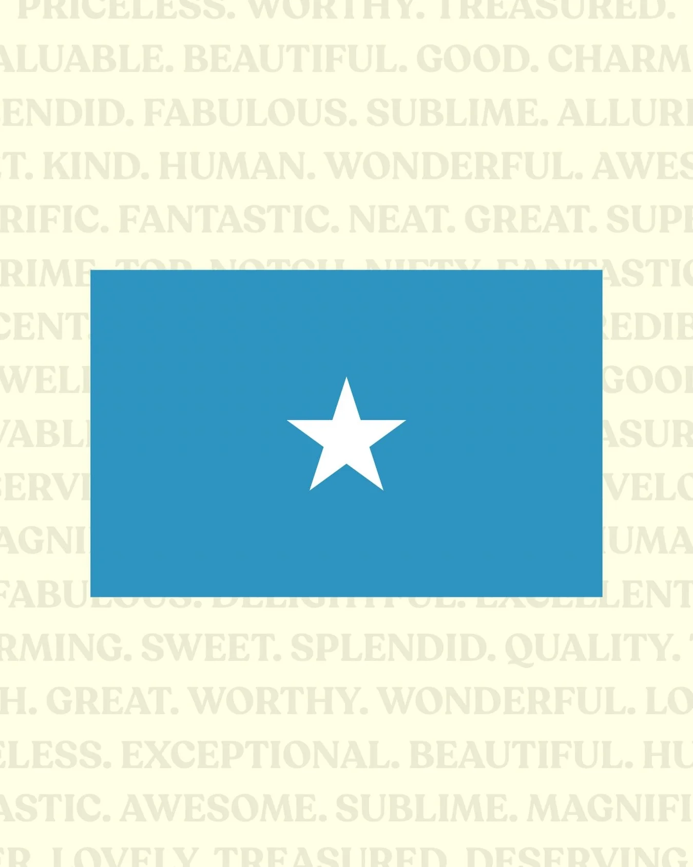 i can think of a lot of words to describe the Somalian community &hellip; &ldquo;trash&rdquo; or &ldquo;garbage&rdquo; certainly isn&rsquo;t one of them 🇸🇴 sending love, respect, and appreciation to the Somalian community. you are loved, you are in